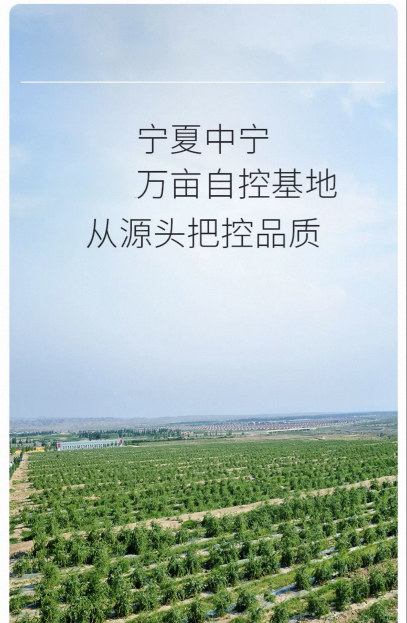 《獨家產品》有機枸杞原漿