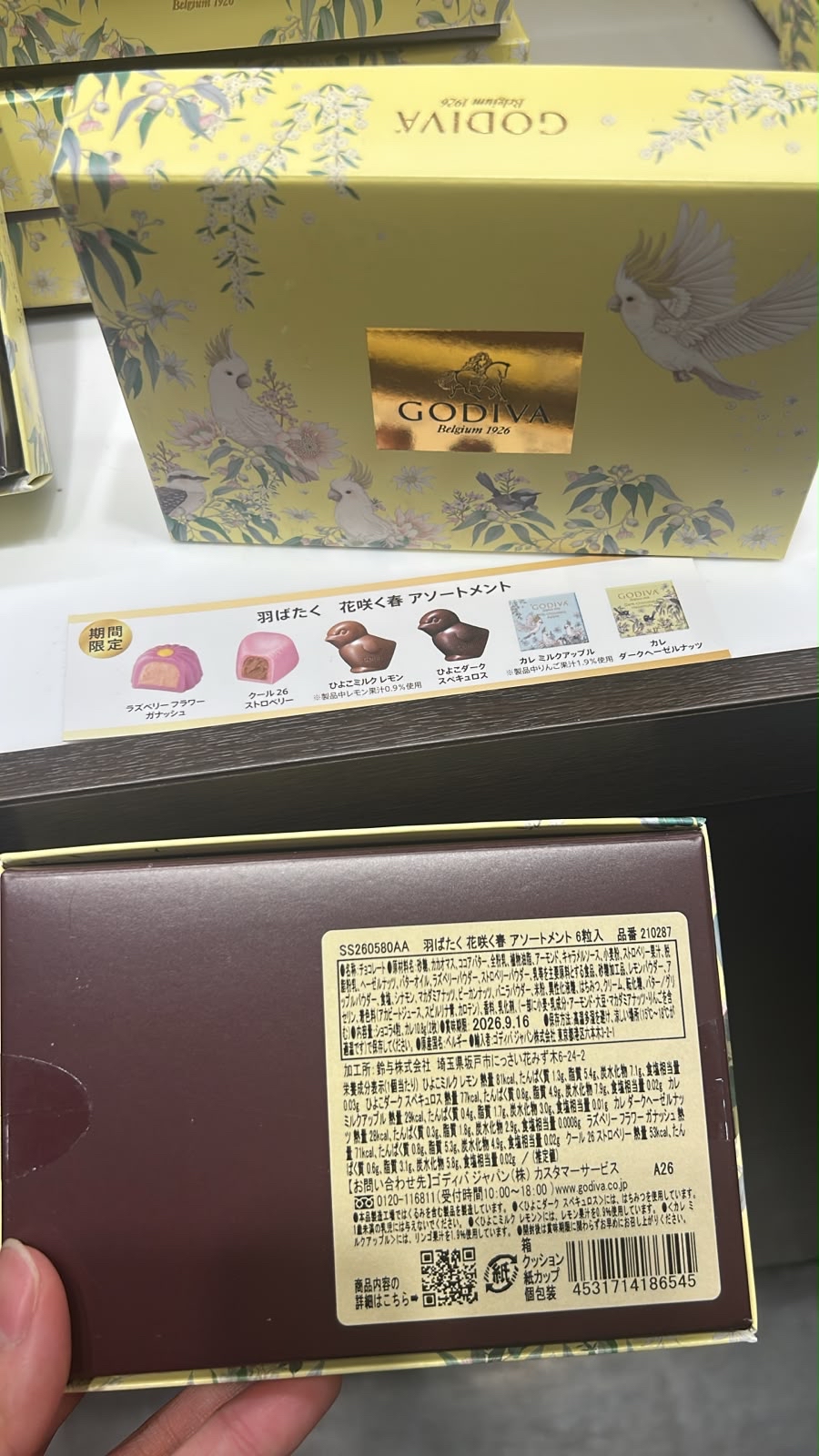 日本快閃  〈GODIVA〉羽ばたく 花咲く春 期間限定商品のご紹介
