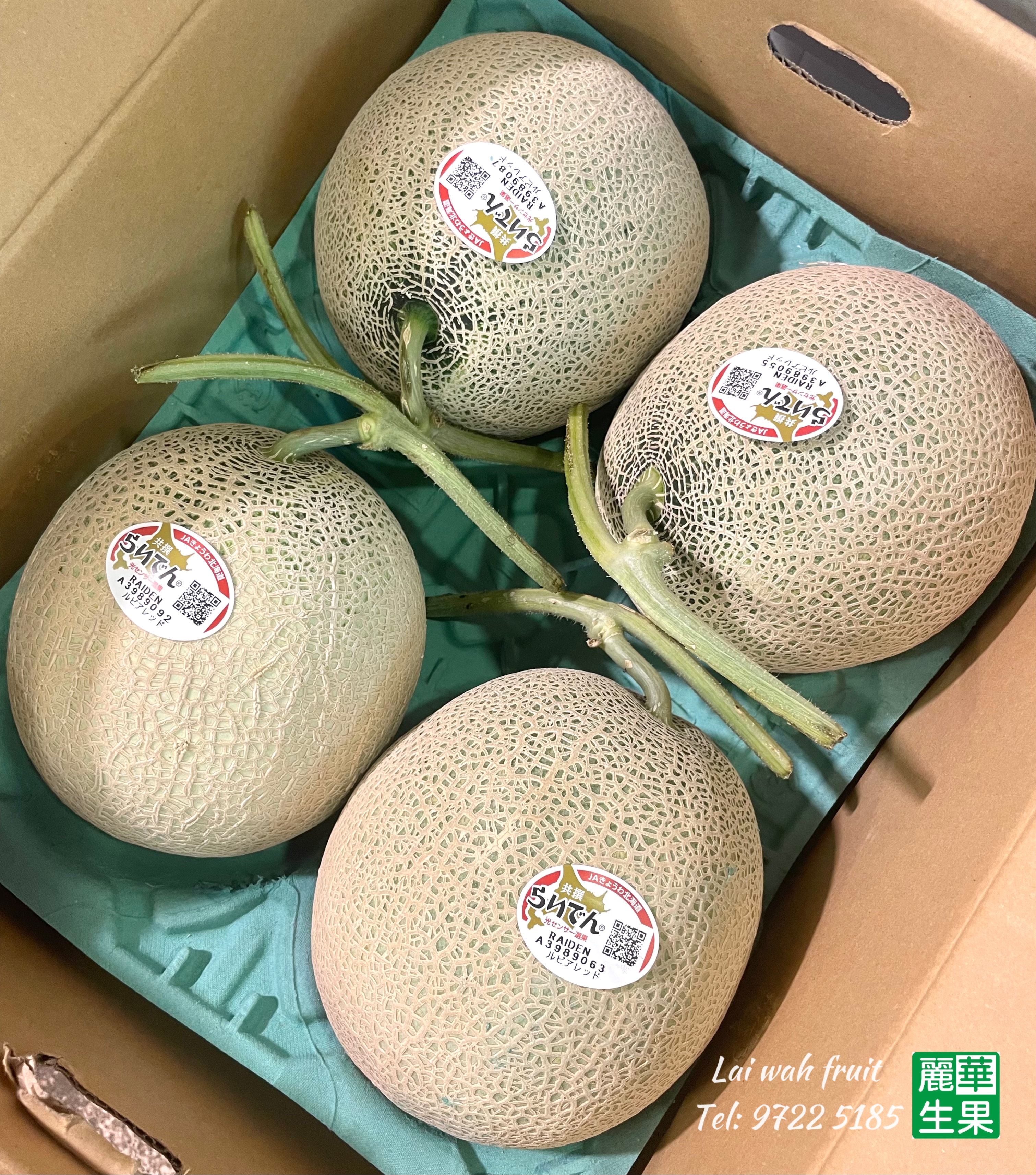 【 🗾日本北海道雷電蜜瓜🍈】(特大5L)$248/1個
