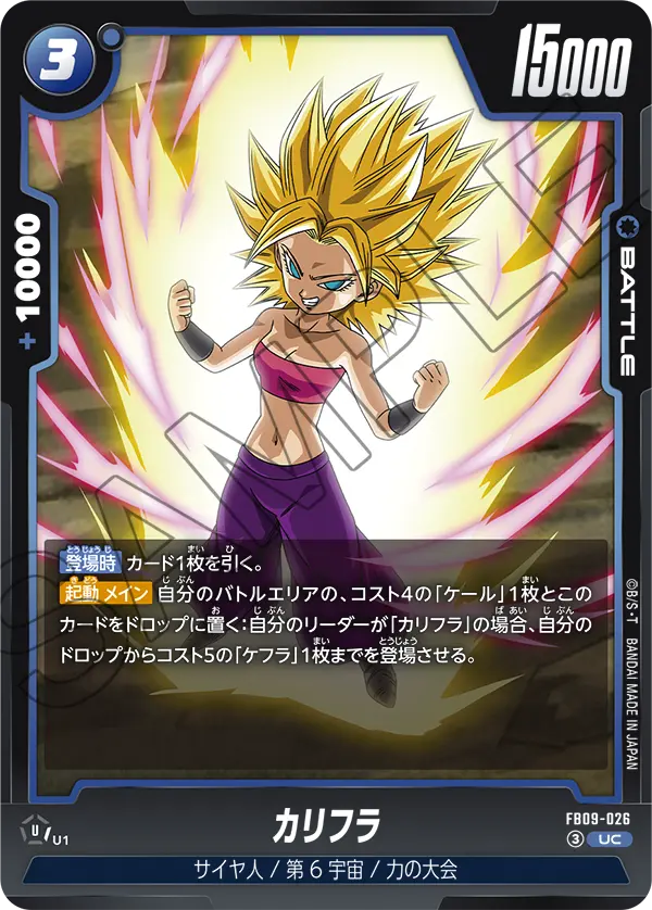 FB09-026 UC カリフラ