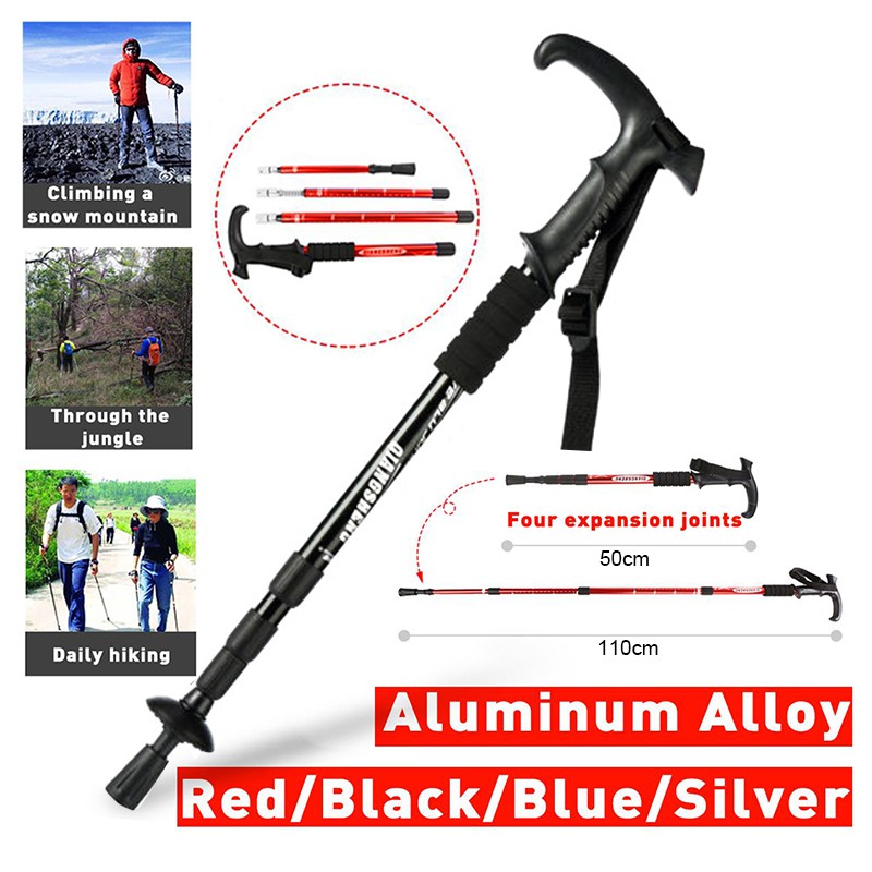 Hiking / Trekking Stick