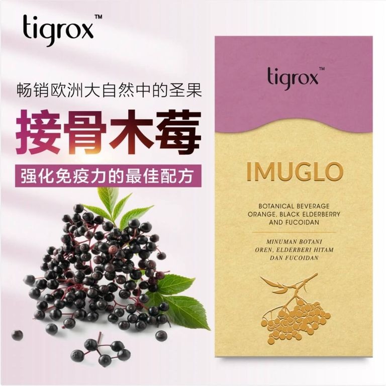 Tigrox IMUGLO 接骨木莓保健飲 (1盒20包)