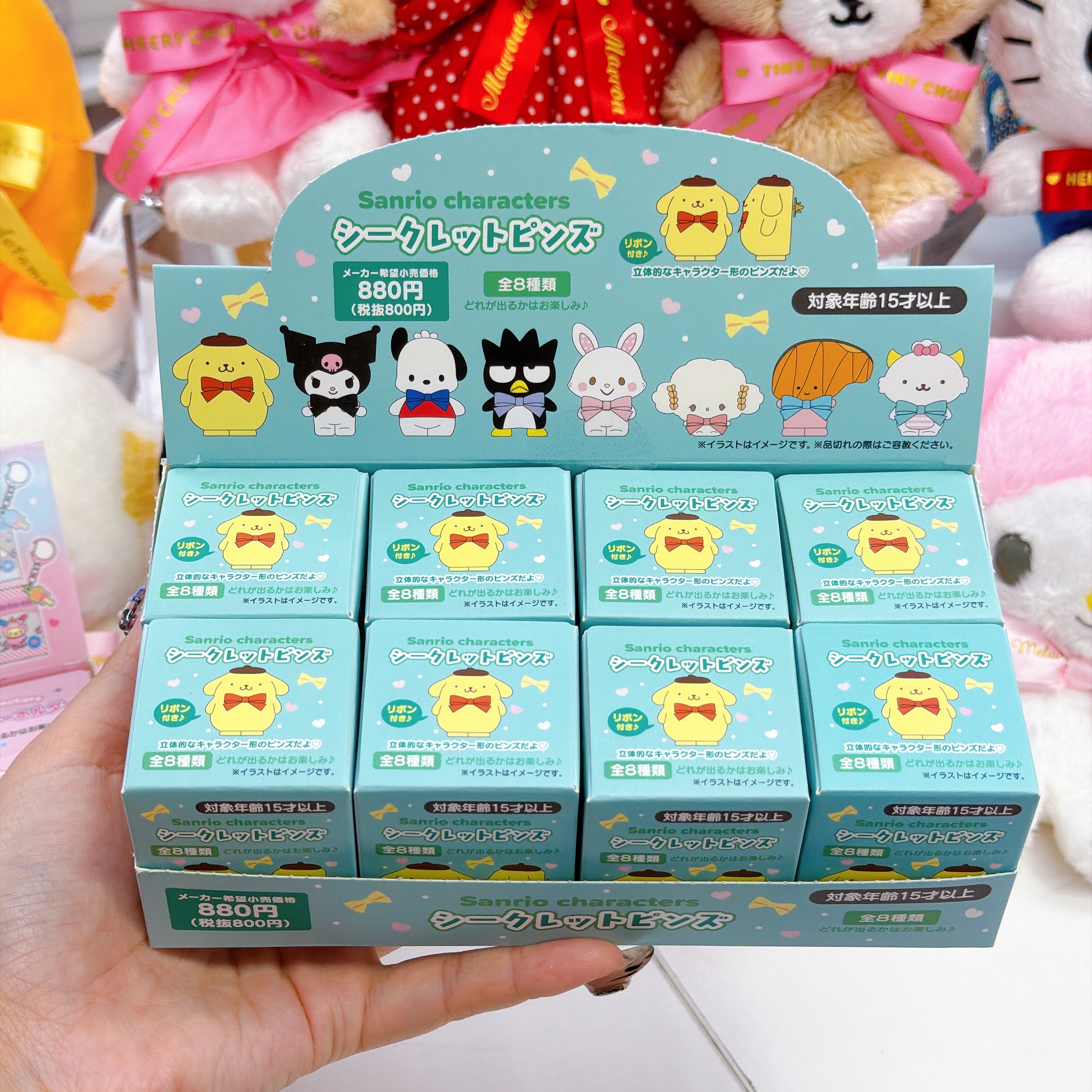 日本直送Sanrio 2026大賞系列公仔/扣針盲盒（隨機抽出