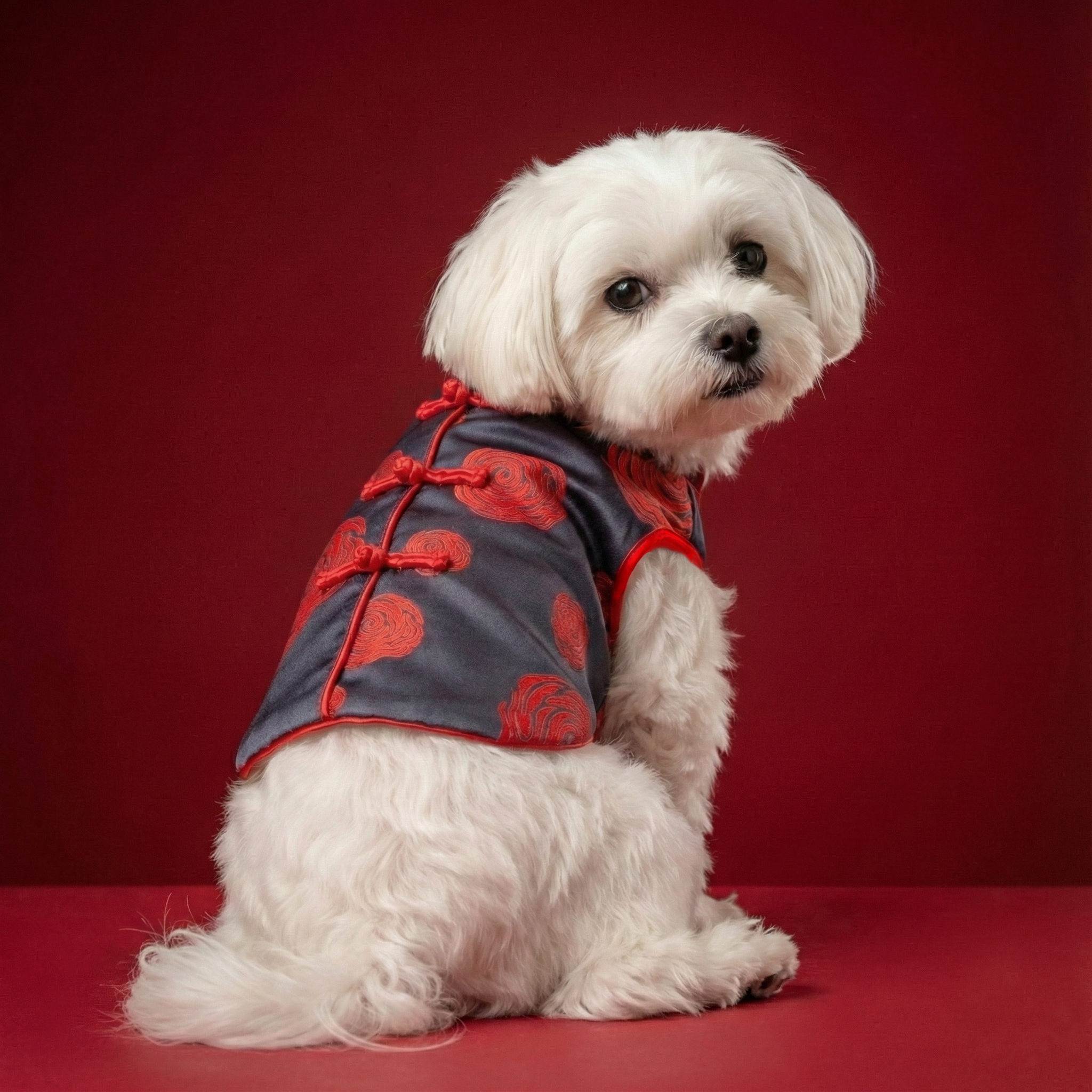 S559BK 玫瑰唐裝棉褸- 黑色（内里脱色） Rose Jacket Chinese Style Dog Clothes-black
