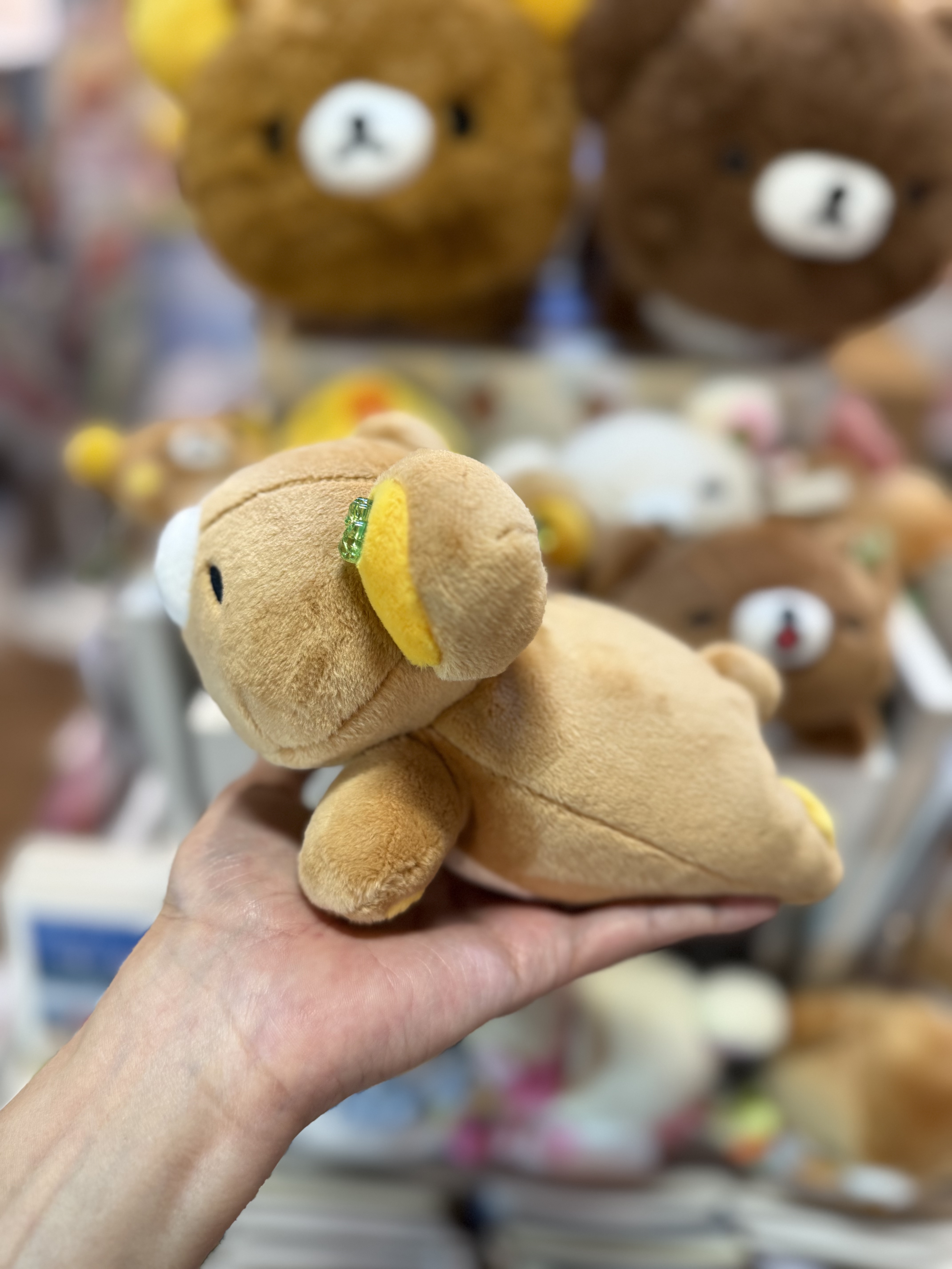 《現貨》全新小熊10週年紀念四葉草系列趴地公仔