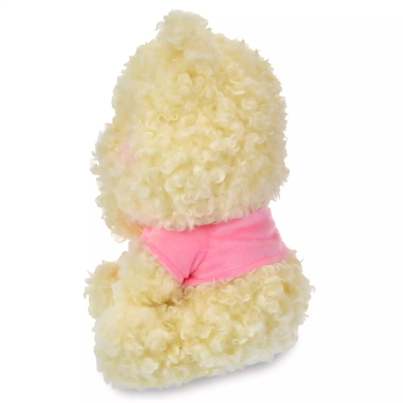 📦訂購 日本代購 Disney 迪士尼 小熊維尼 Winnie the Pooh 毛絨公仔🧸