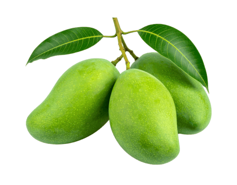 Mango with slices and leaves