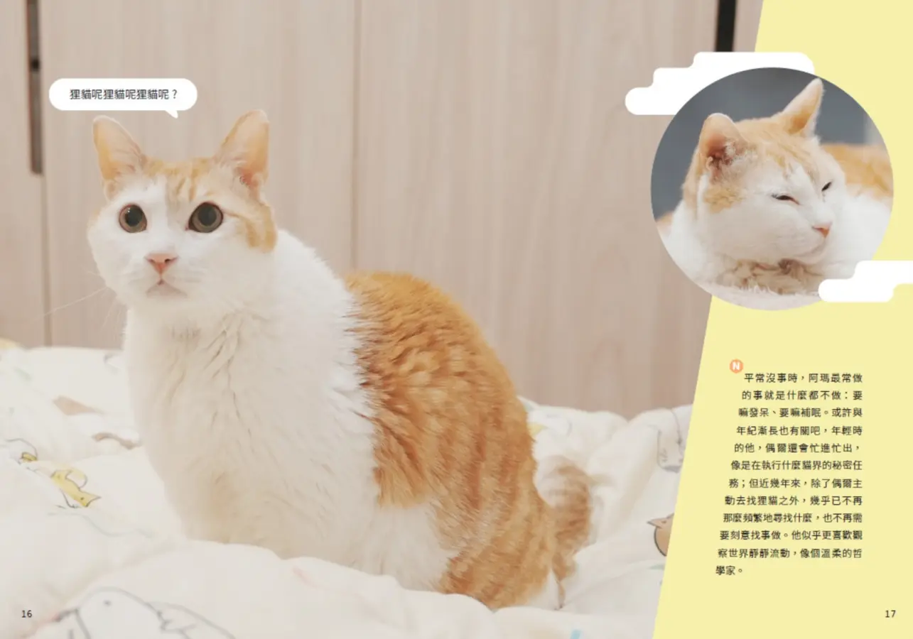 黃阿瑪的後宮生活9︰幸福的模樣