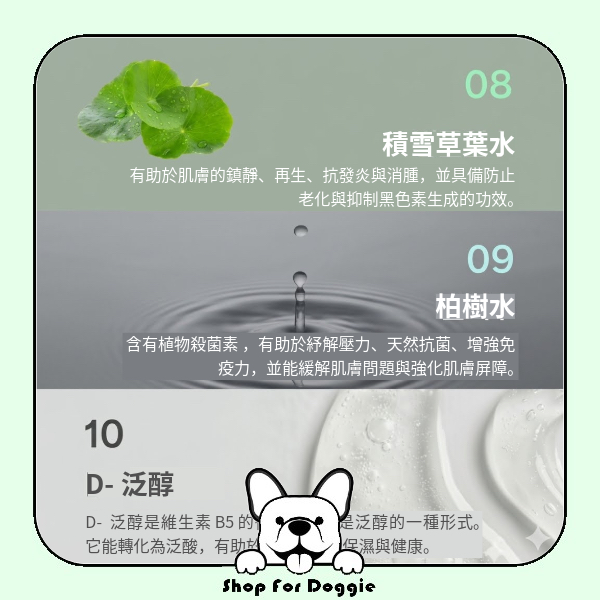 [訂貨3-4星期] 韓國 DearSco I AM MUD Shampoo 300ml-White Warm