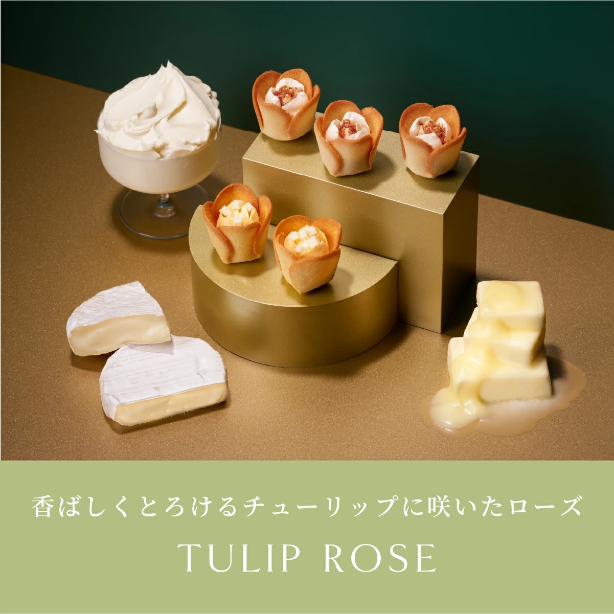 TULIP ROSE チューリップローズ in season　15袋入 - 01260330
