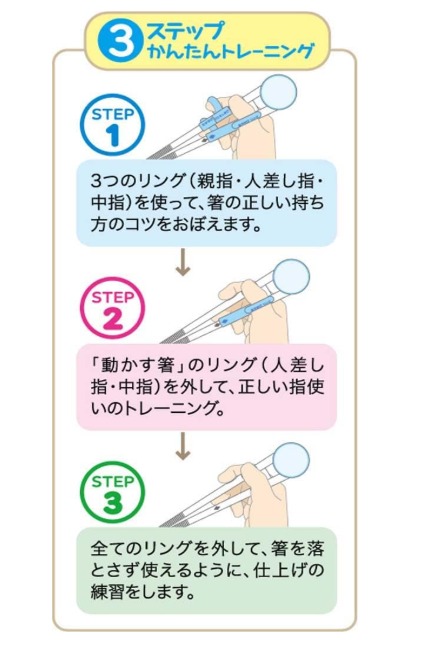 日本直送🇯🇵 Skater 3 Steps 學習筷子 右手用 2-7 歲