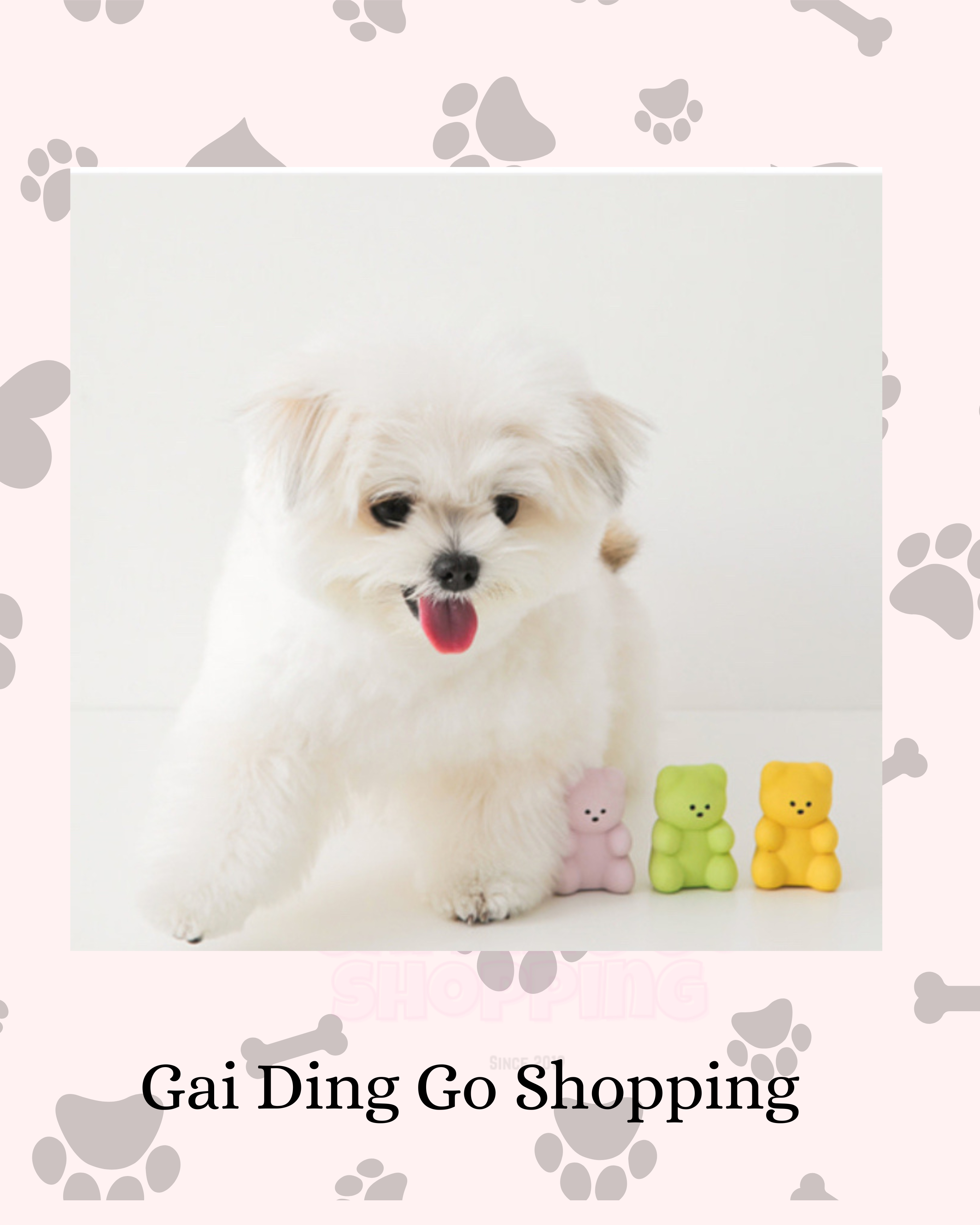 Little Jelly Bear 🐻 Latex Toy 小小啫喱熊🐻玩具