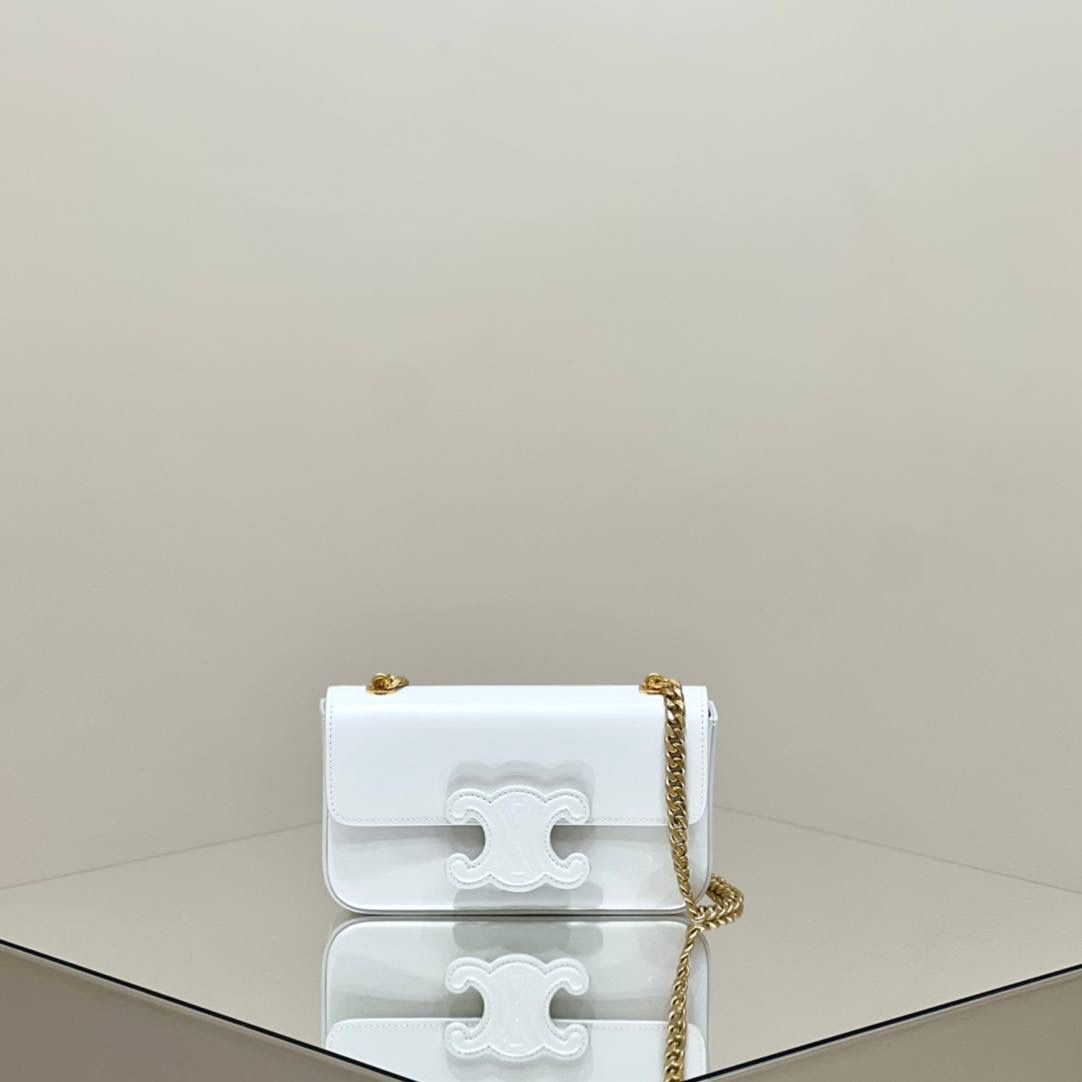 🔥大货实拍图 𝗖𝗘𝗟𝗜𝗡𝗘 ♥ 𝗧𝗥𝗜𝗢𝗠𝗣𝗛𝗘浮雕腋下包 型号：199243 尺寸：20.5*11.5*4cm