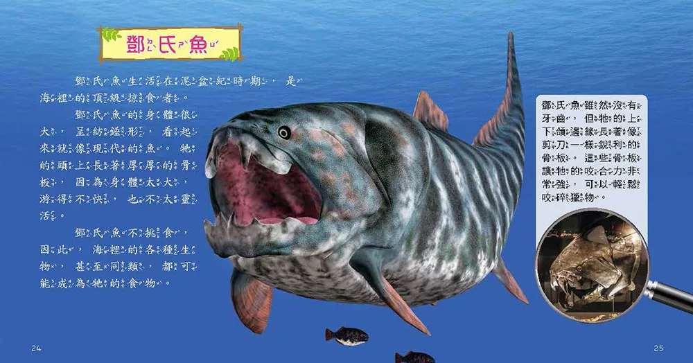 🔸預購貨品🔸史前動物小百科