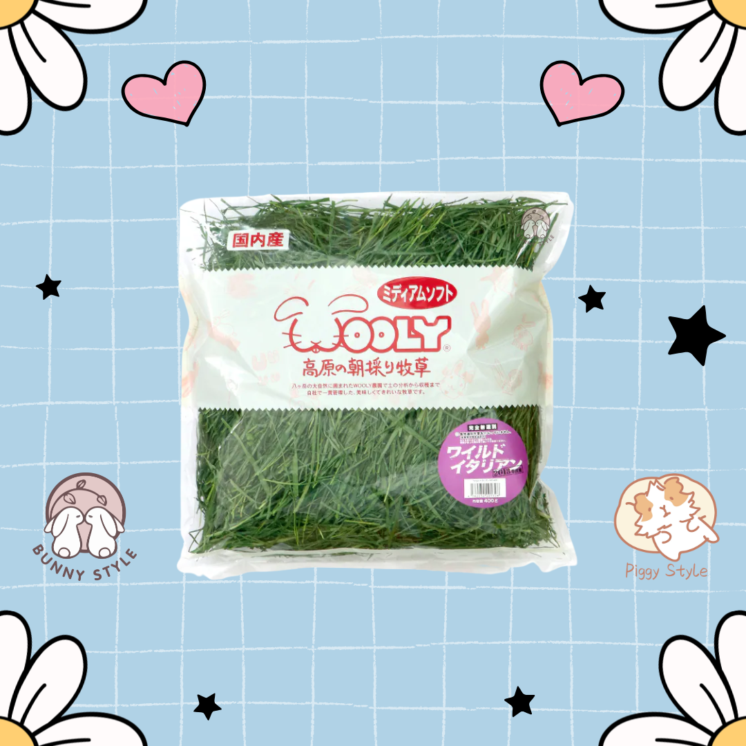 Wooly 高原意大利黑麦草(幼草) ( 未挑雜質) 400g
