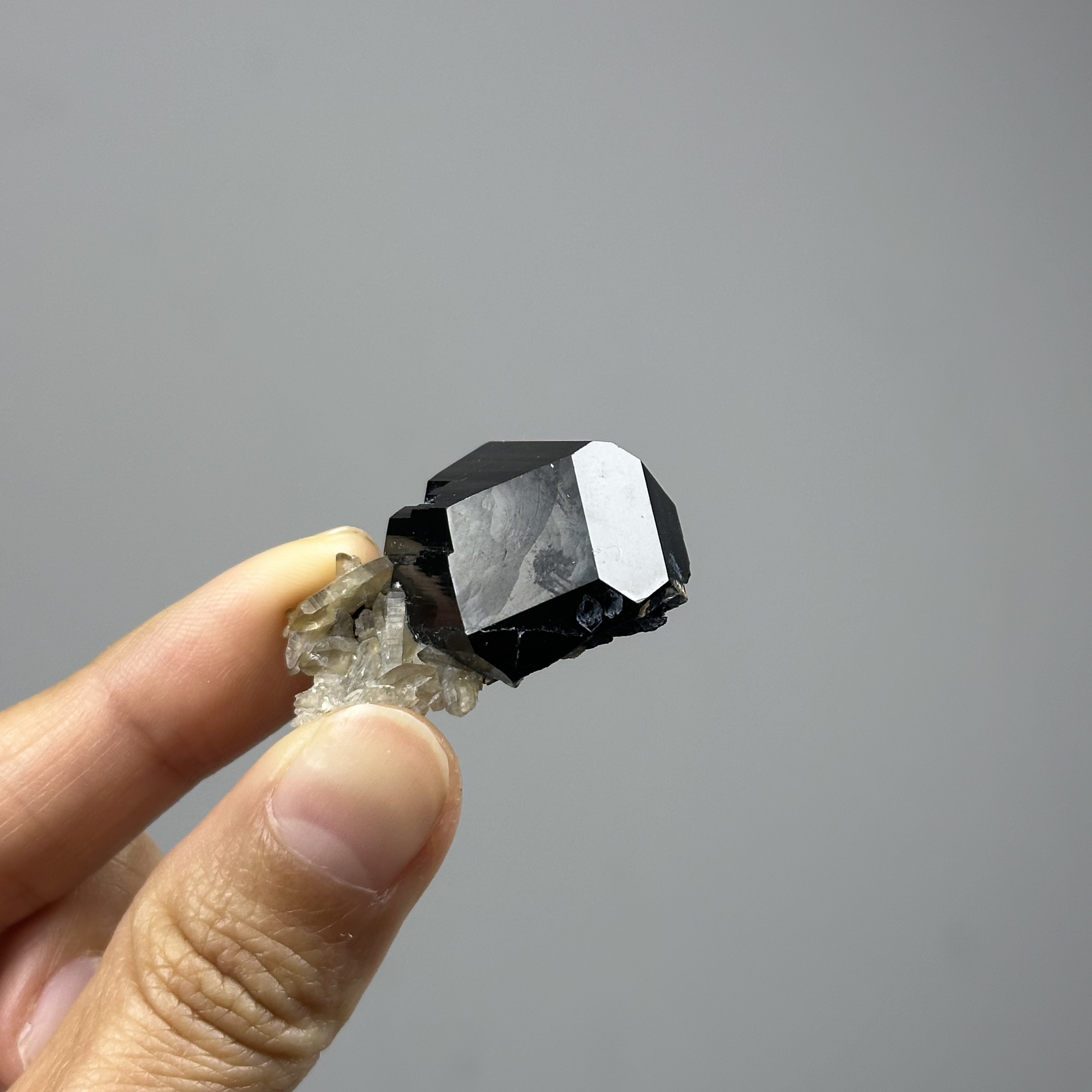 納米比亞 黑碧璽 - Schorl/ Black Tourmaline DR113