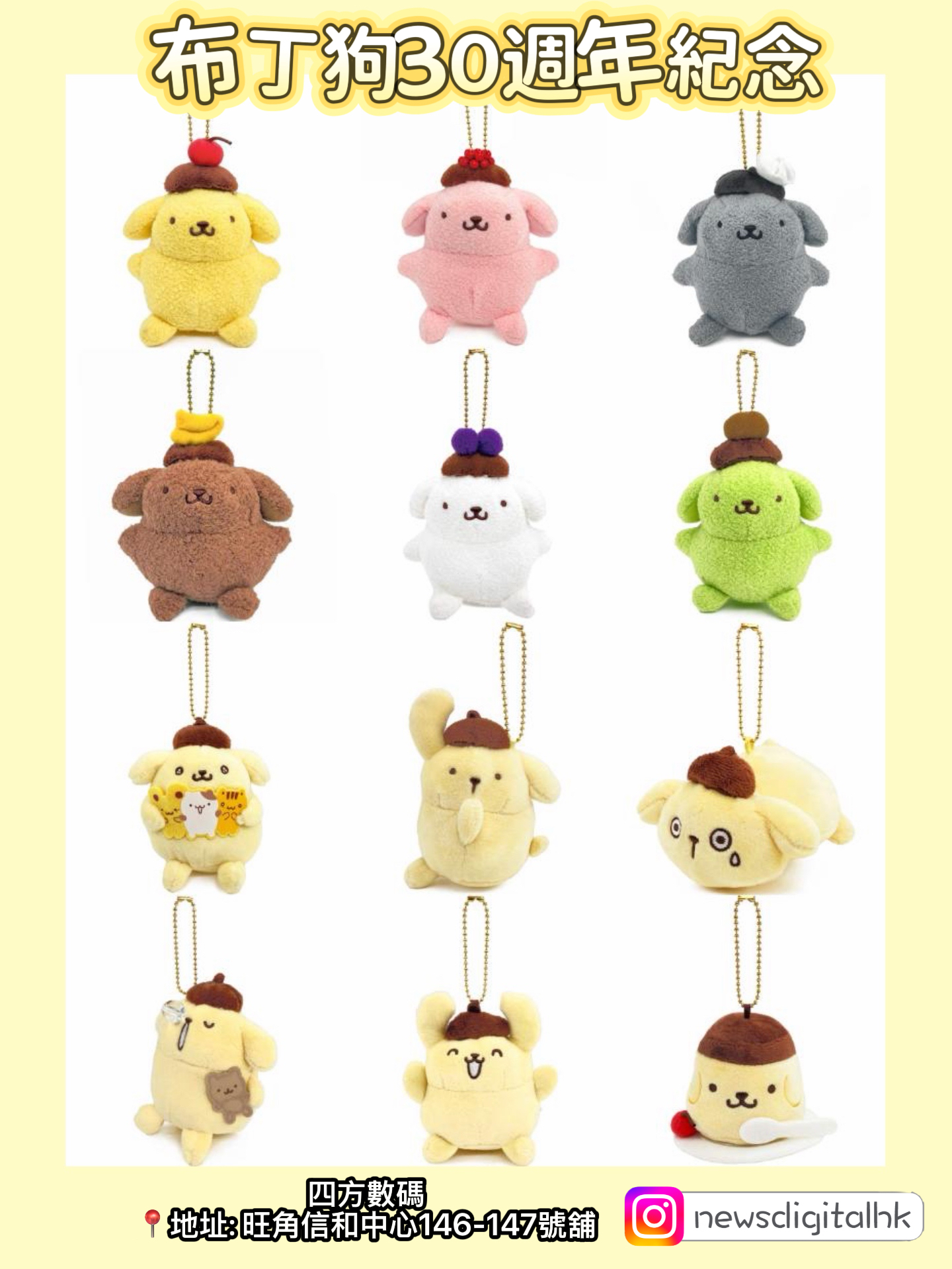 ［現貨］日本🇯🇵直送布丁狗30週年系列