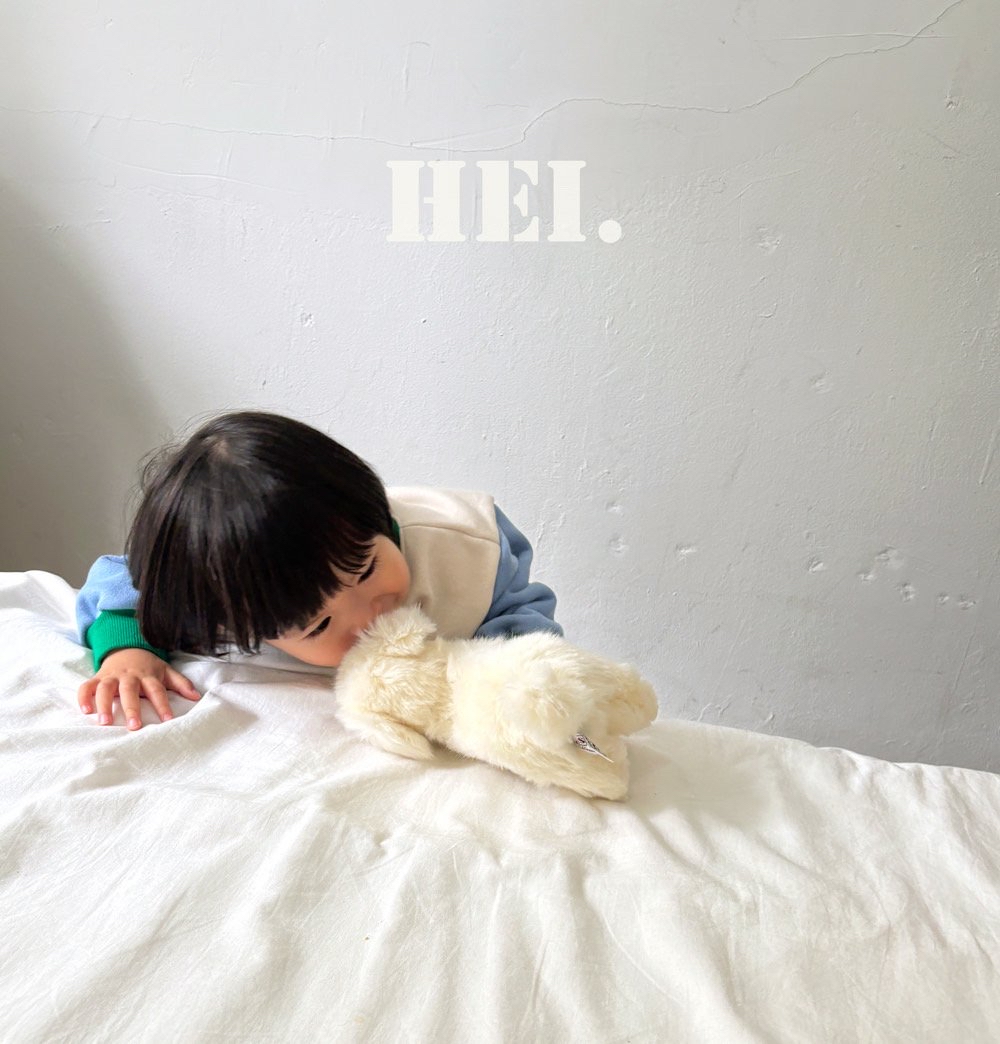 Hei | Color-block Sweatshirt