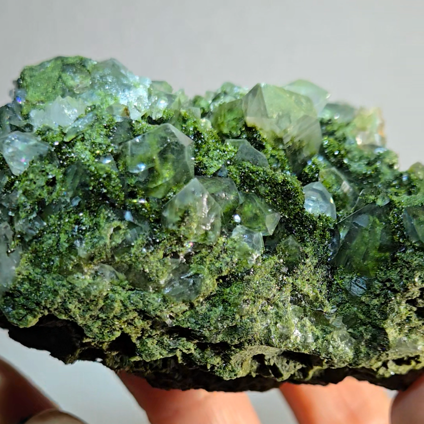 Epidote specimen with rainbow quartz and DTs - ED2