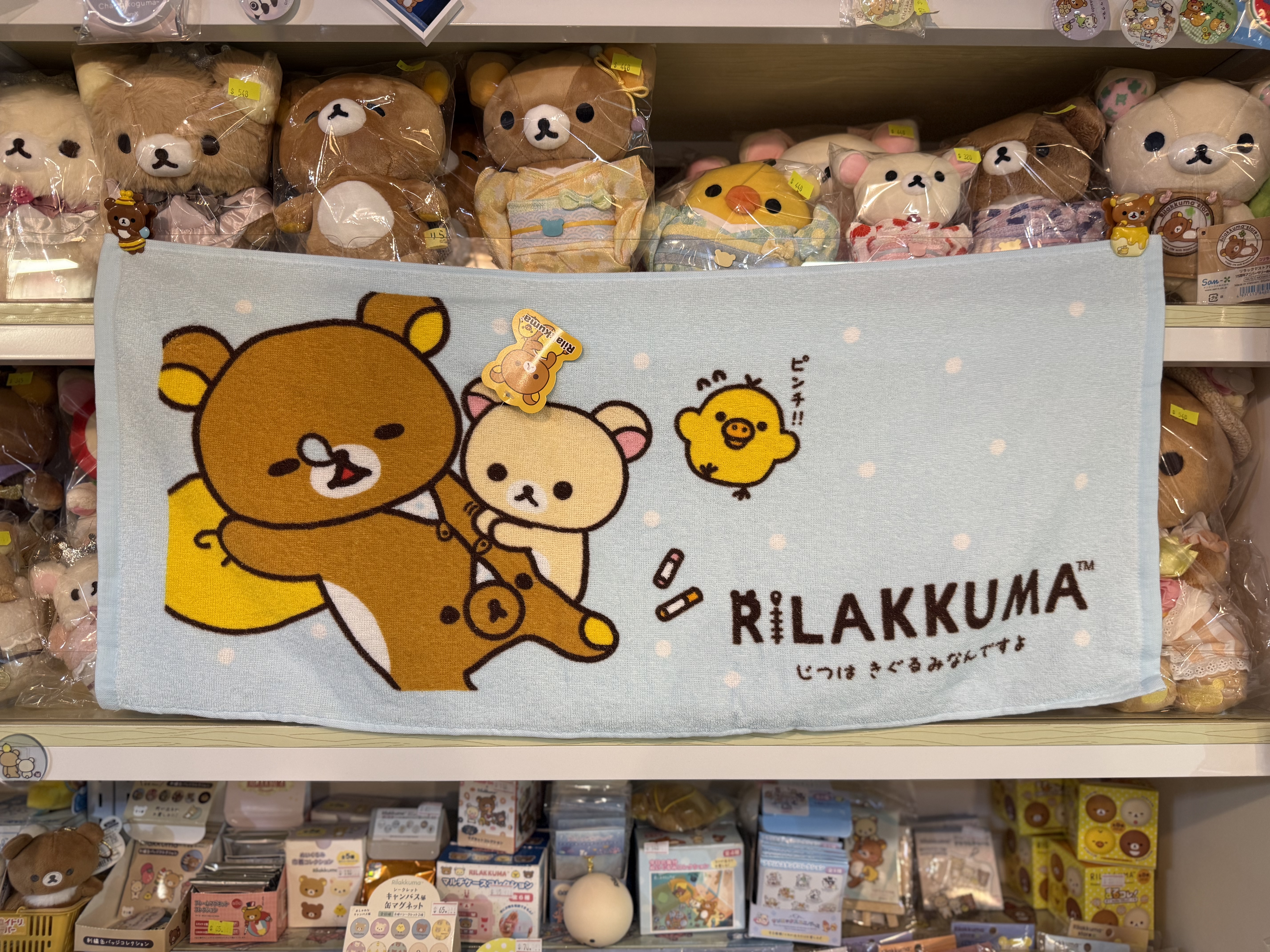 現貨》全新Rilakkuma 各款長毛巾