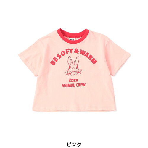 🆕【⭐訂購⭐】🇯🇵  日本直送🌀撞色領口 動物學院風 短袖Tee［5款選］🌀[ELCA-0213][260424]