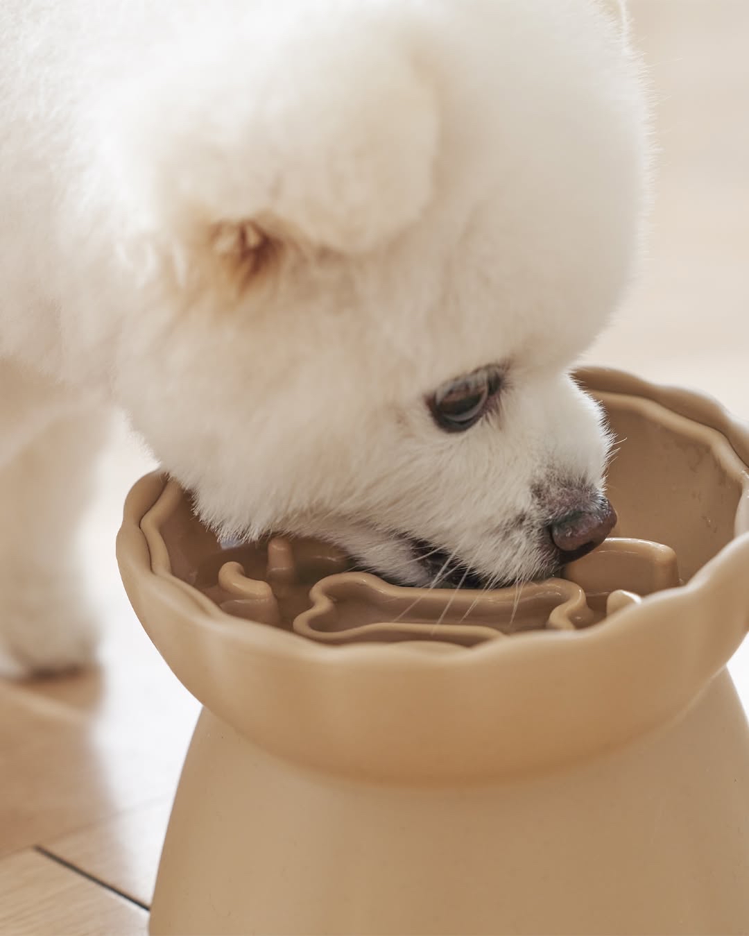 韓國🇰🇷 狗狗造型慢食碗set