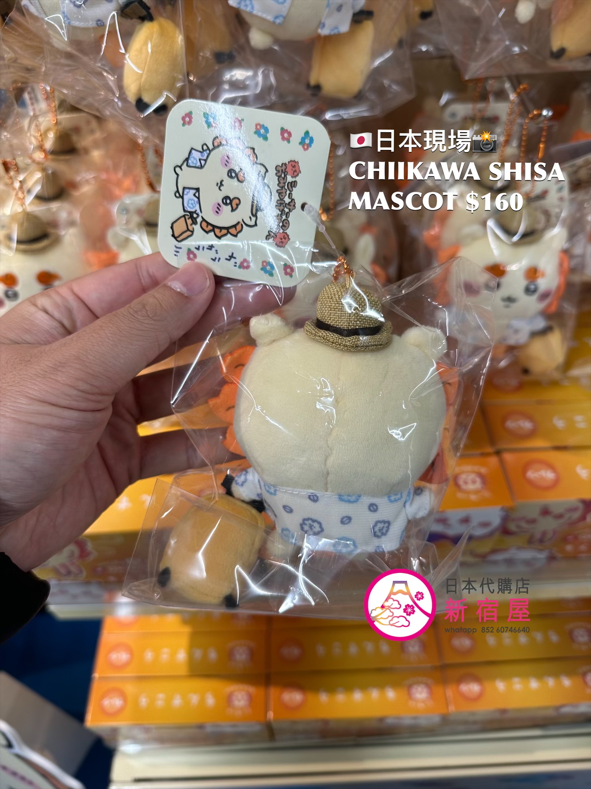 CHIIKAWA SHISA 風獅爺 MASCOT