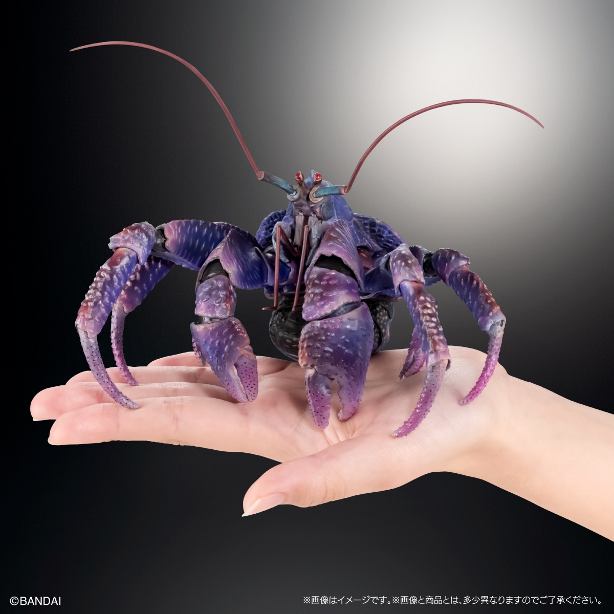 (預訂訂金 $200) (總價 $471) (Gashapon Online 限定) Bandai 生物大圖鑑 Premium 椰子蟹 (紫色) 扭蛋 (行版) Birgus Latro (Purple Color)