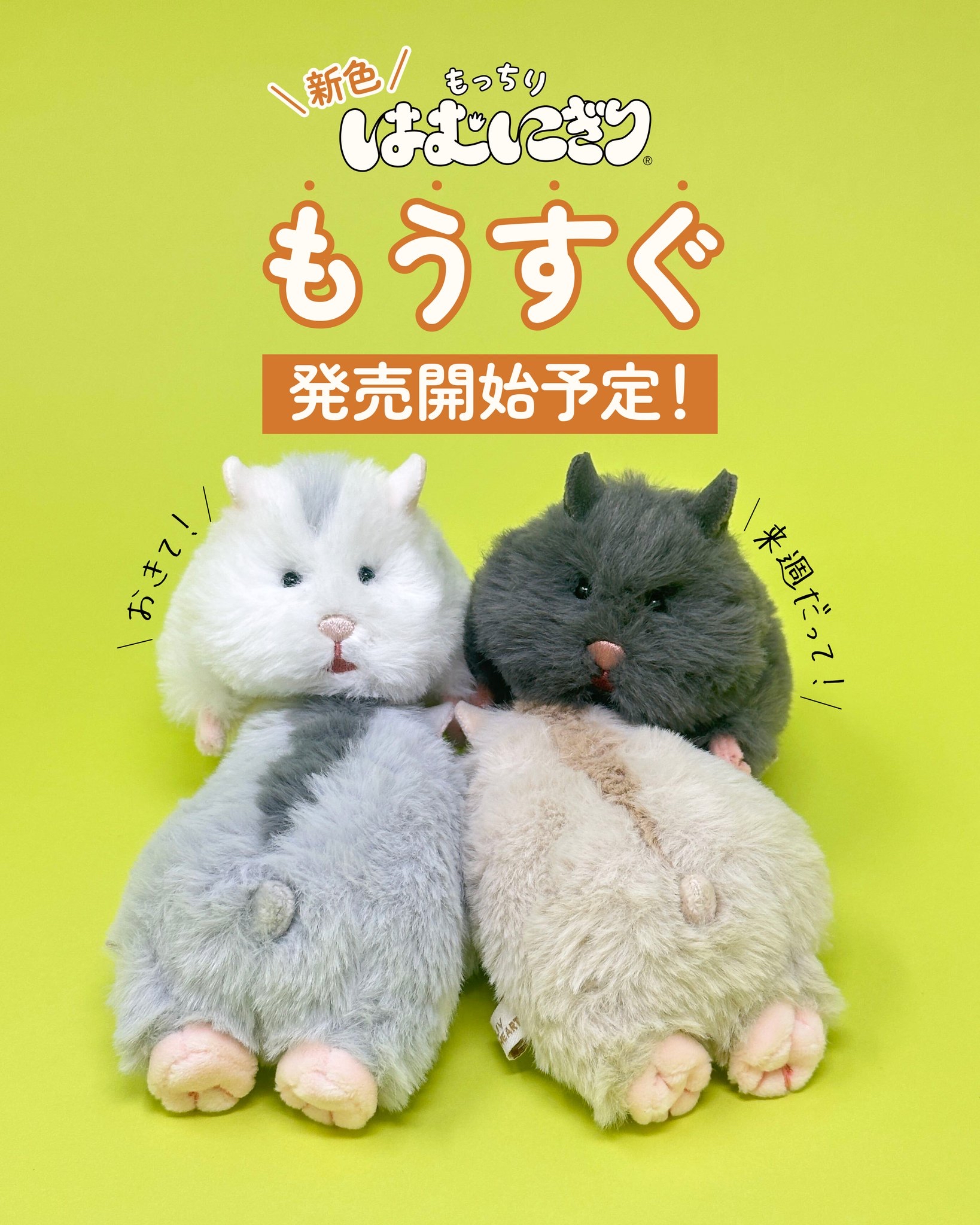 日本預訂📍日本超可愛樣倉鼠手玉公仔第二彈(日版) 2026年11月下旬出貨