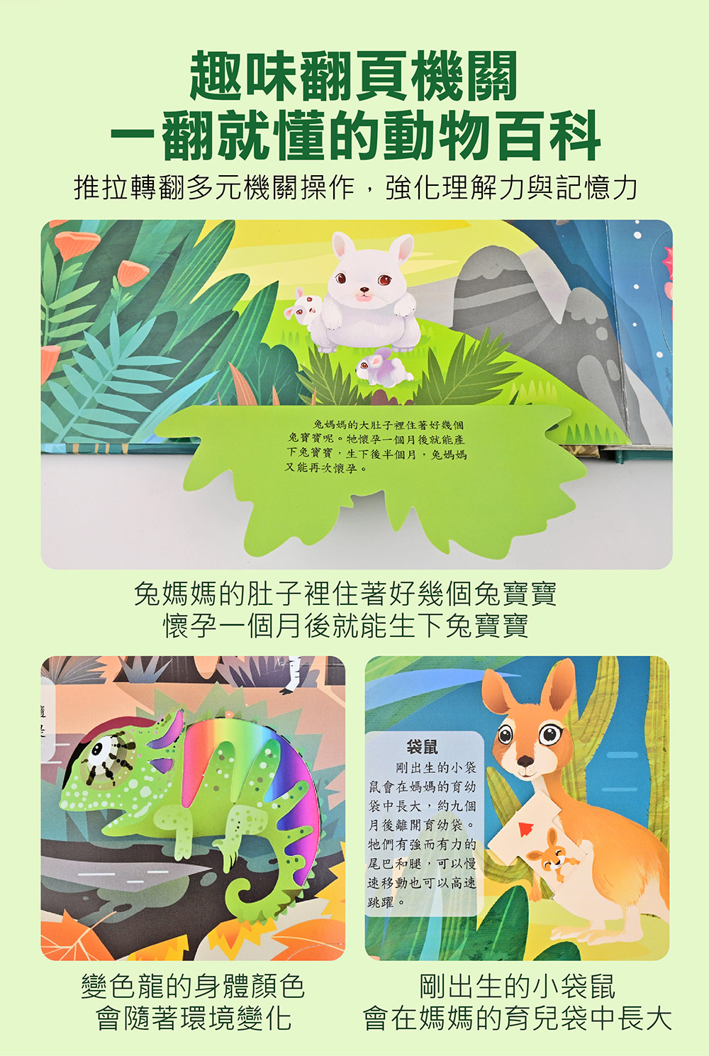 風車 神奇的動物百科立體翻翻書