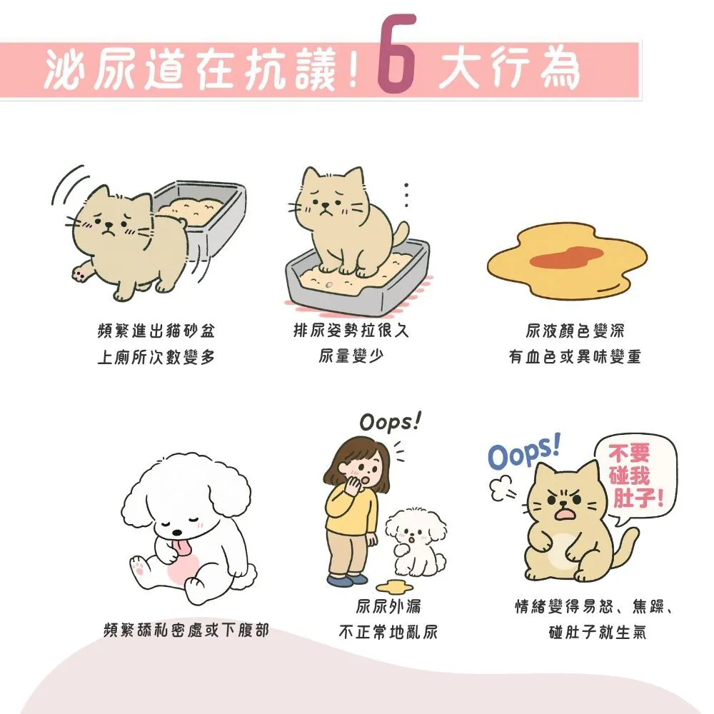 【台灣寵愛毛毛・惜命命泌尿道保健】