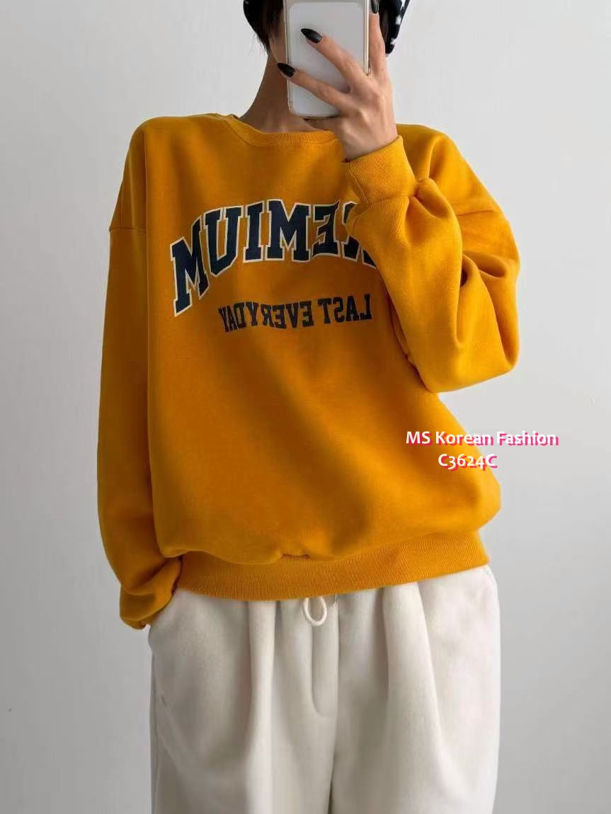 C3624 韓國🇰🇷靚色毛底衛衣