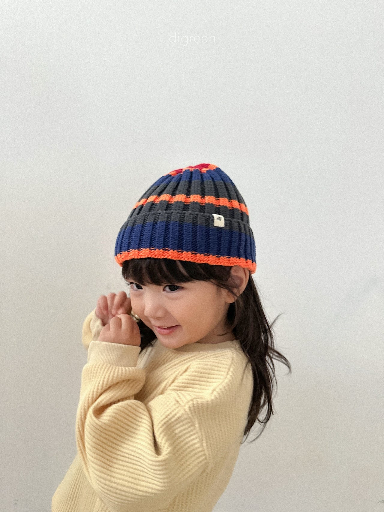 Digreen | multi beanie 