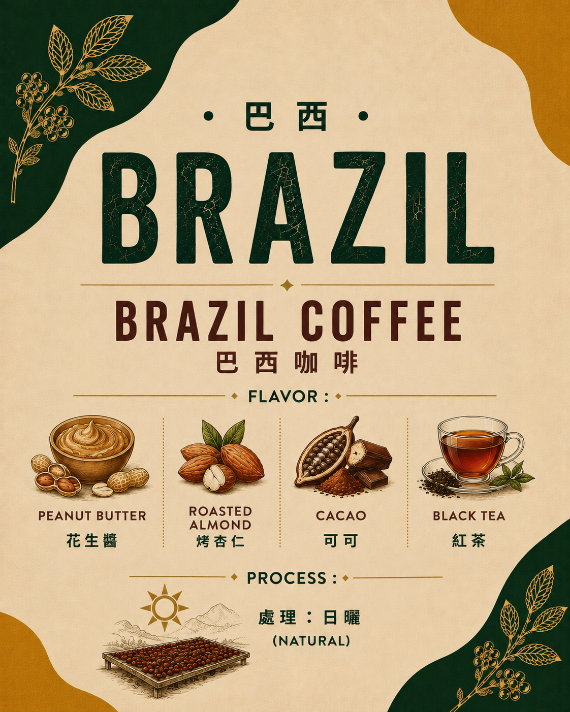  【BLOOM 02】Nuty Espresso
