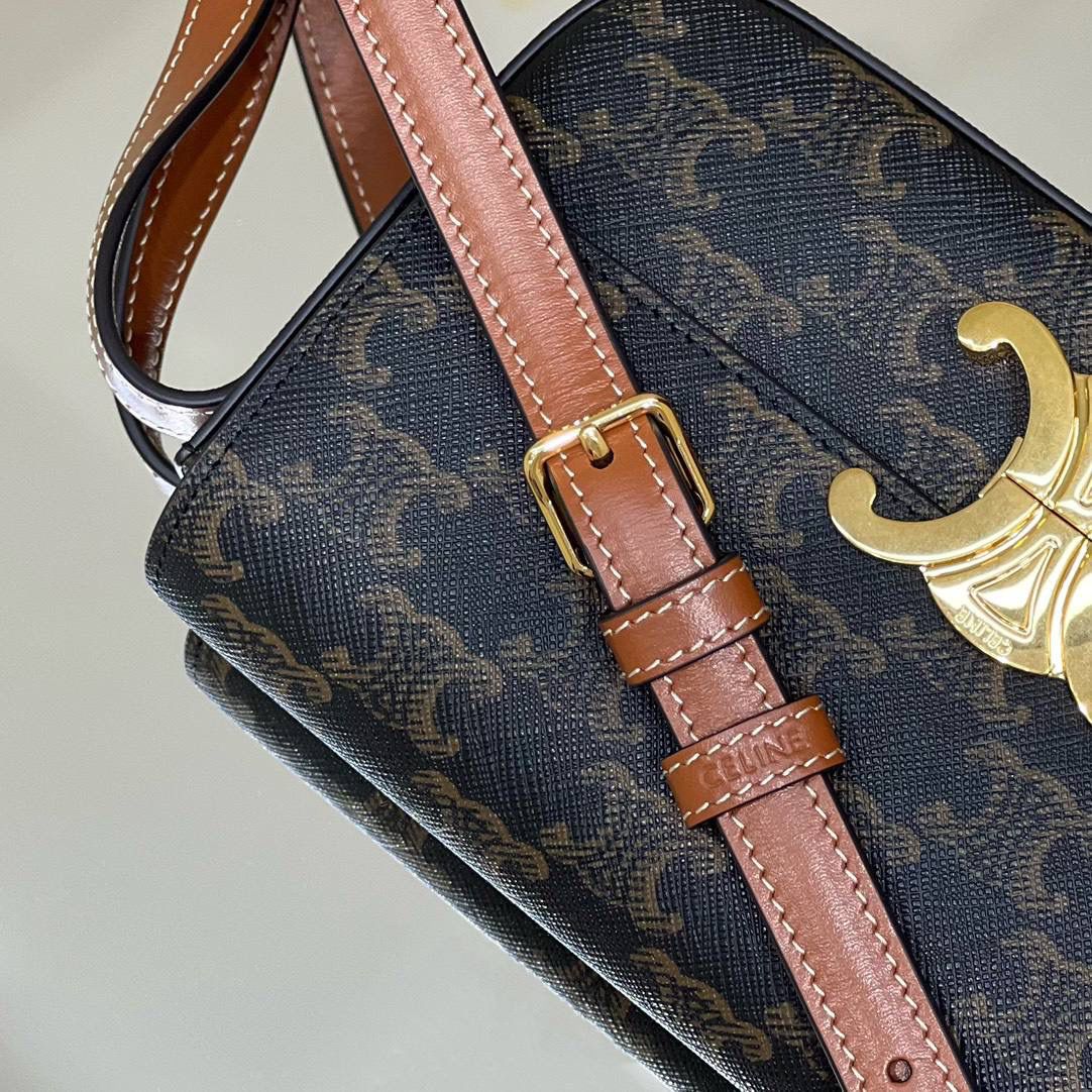 🔥大货实拍图 𝗖𝗘𝗟𝗜𝗡𝗘 ♥ 𝗧𝗥𝗜𝗢𝗠𝗣𝗛𝗘 𝗦𝗛𝗢𝗨𝗟𝗗𝗘𝗥 𝗕𝗔𝗚 型号：194142 尺寸：20*10*4cm