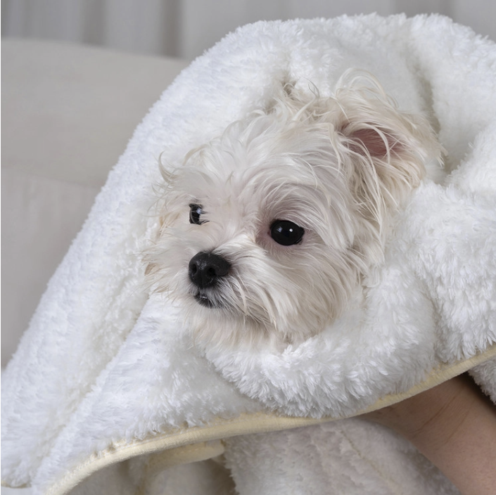 *SuperPet🇰🇷巨無霸寵物吸水毛巾(2件裝）