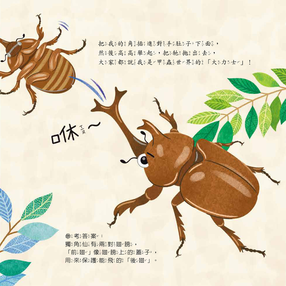 小五南 假裝我是獨角仙─玩假扮遊戲認識昆蟲類