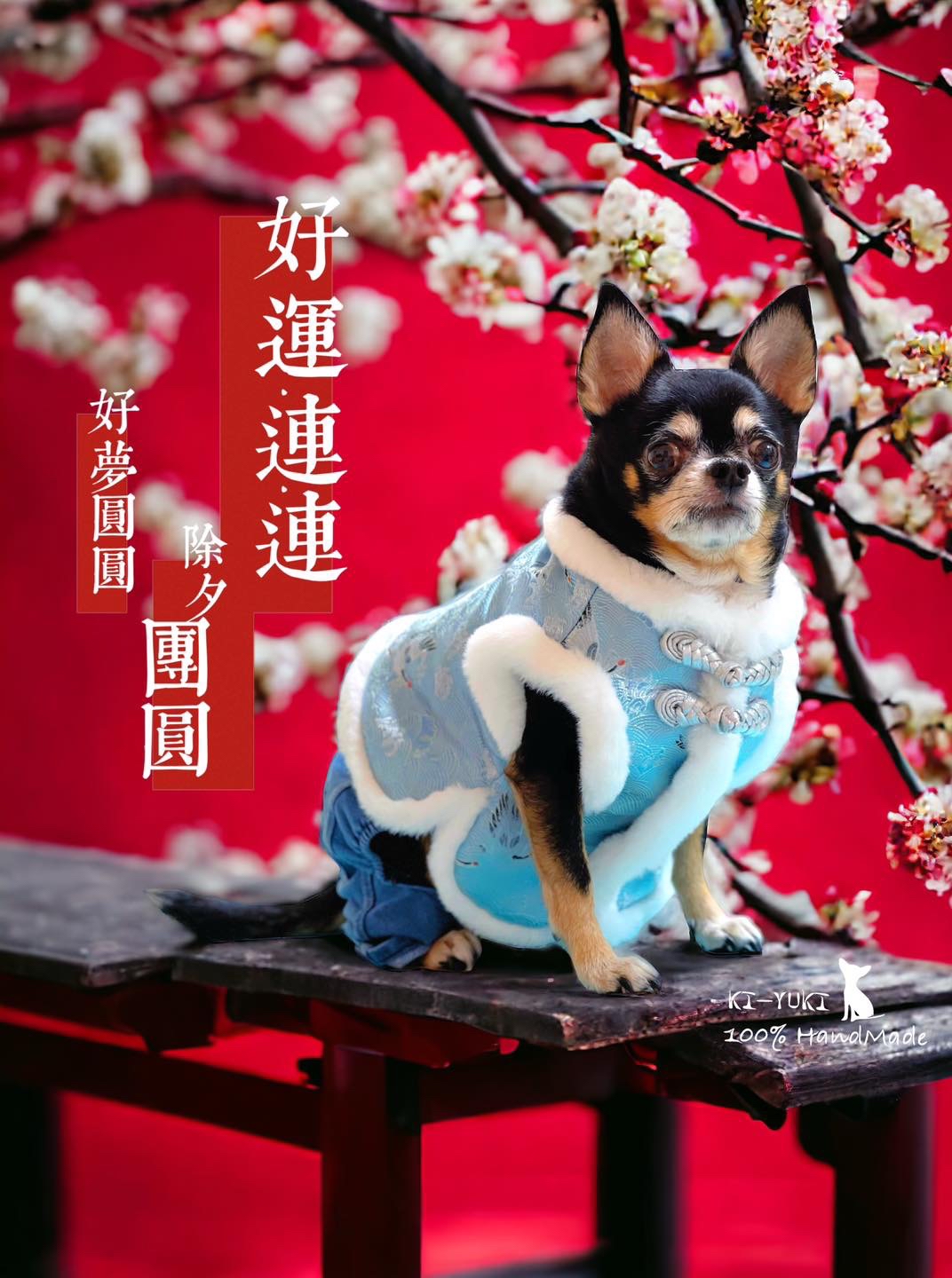 原創設計手作 寵物新春唐裝背心，歡迎訂製