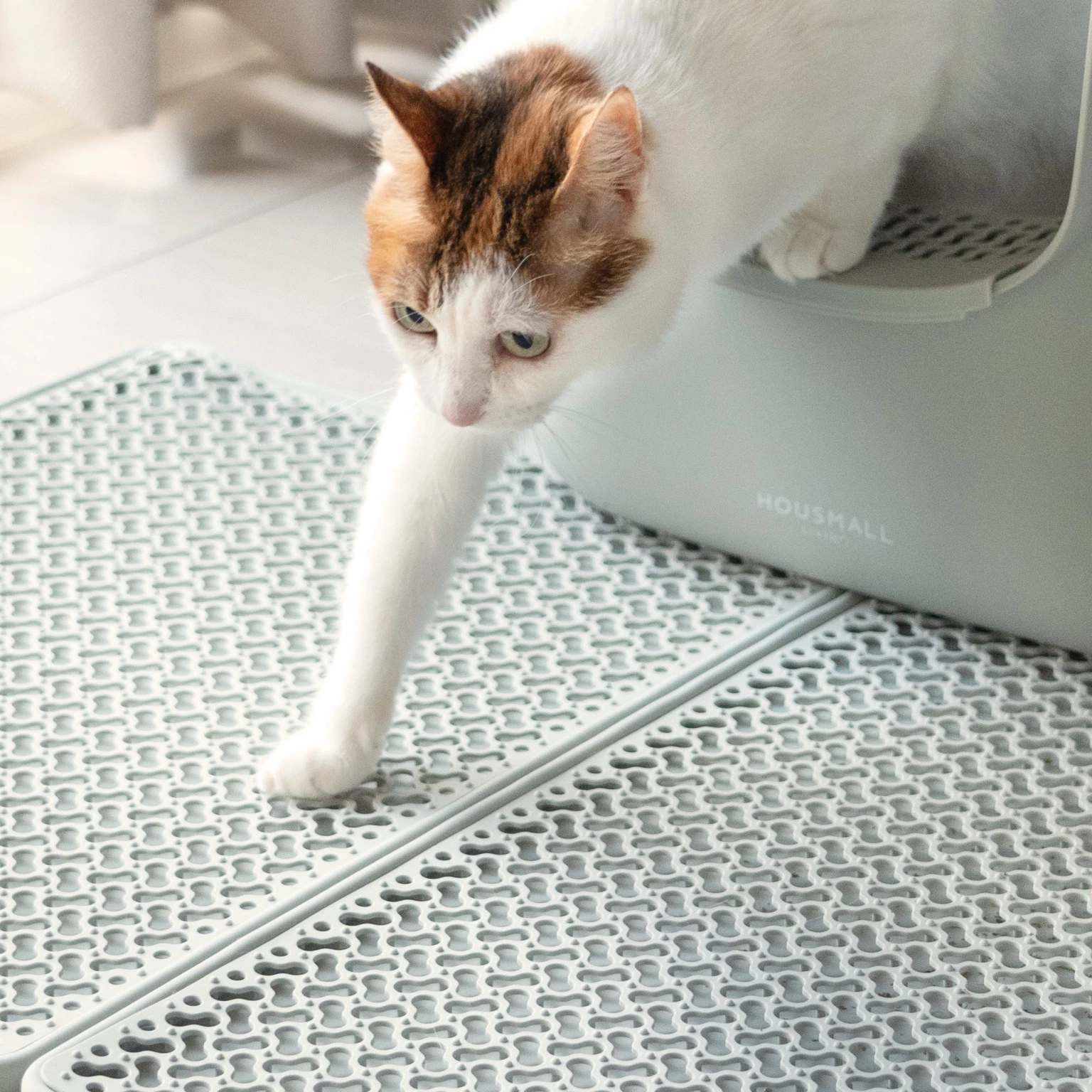 汪喵星球 小宅生活 極致控砂墊