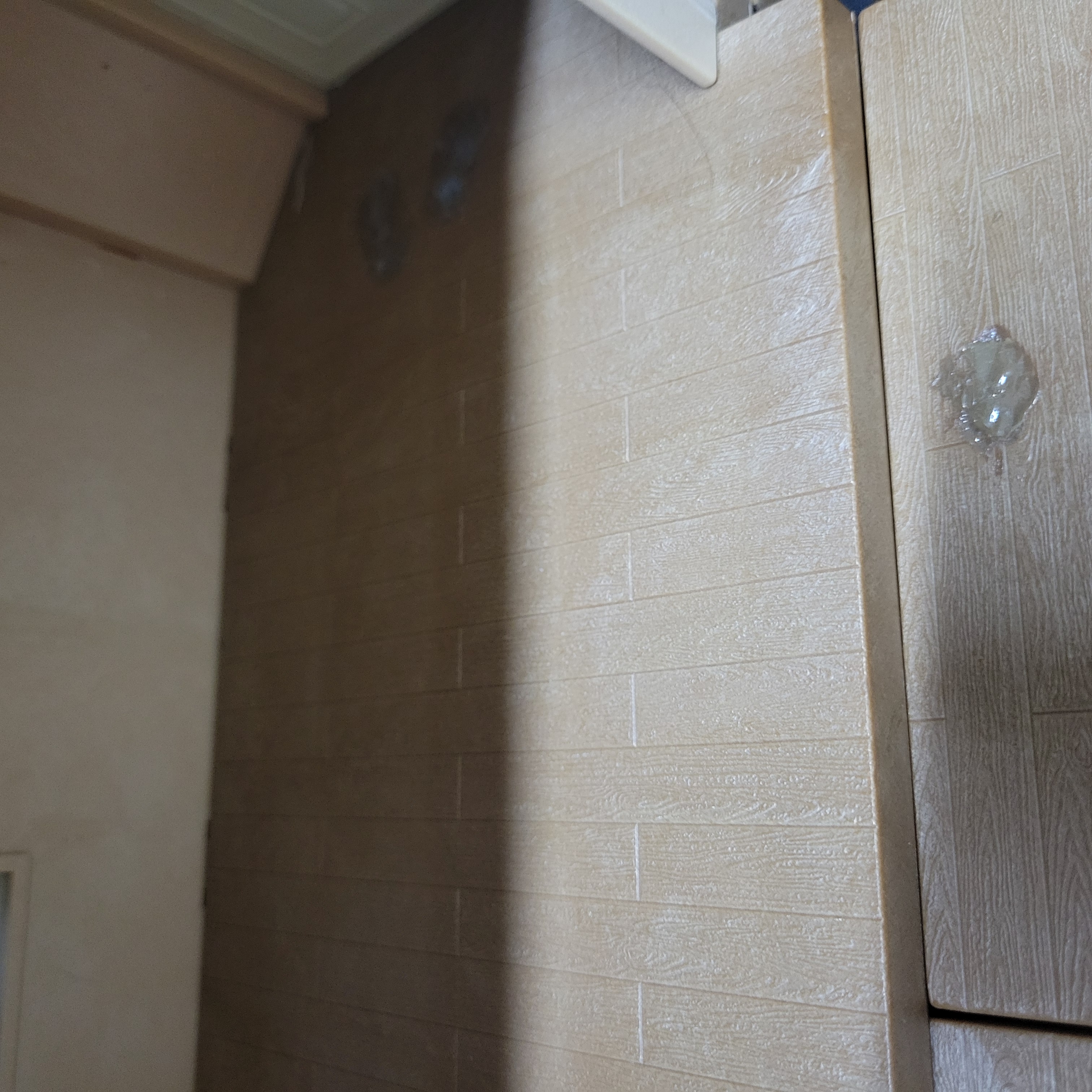 森林家族大屋（香港包順豐站）