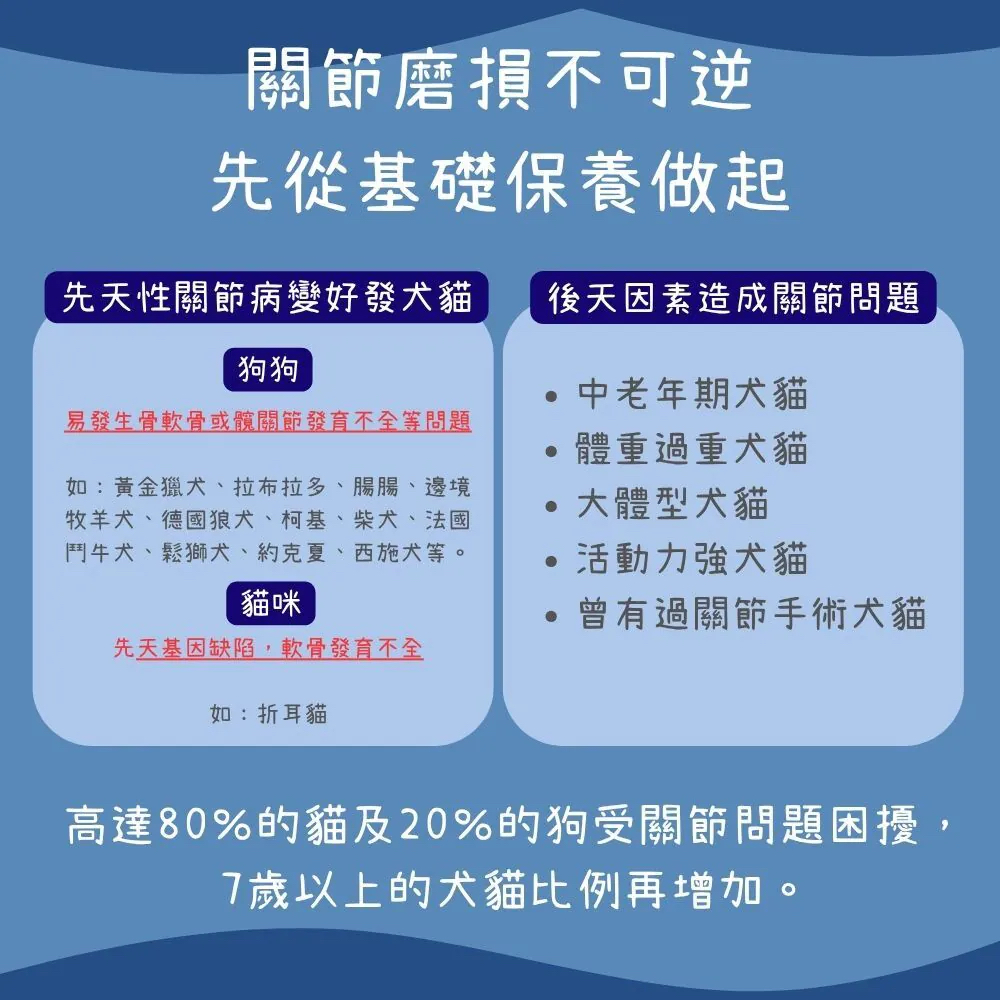 【台灣寵愛毛毛・惜命命關節保健】