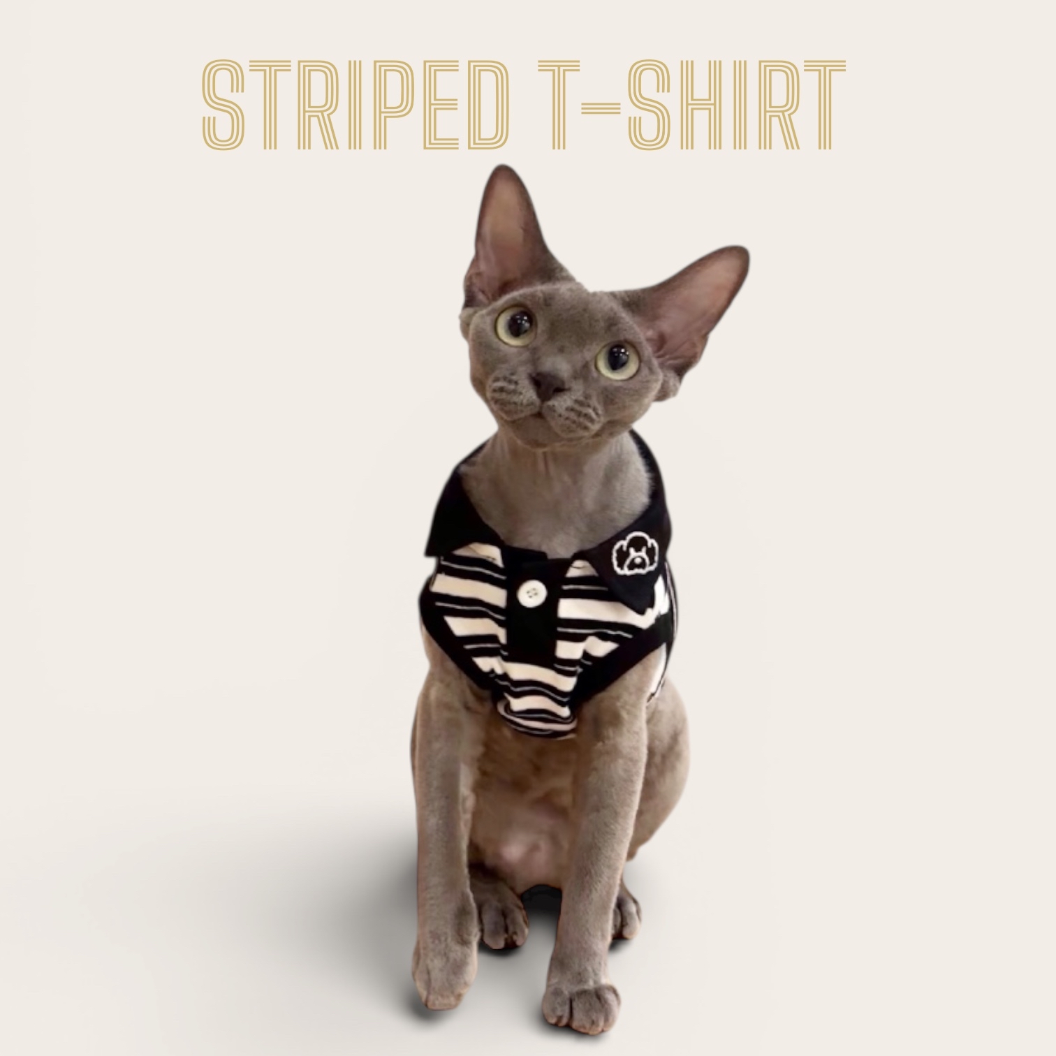 S650   黑白條紋T恤 Black and white striped T-shirt