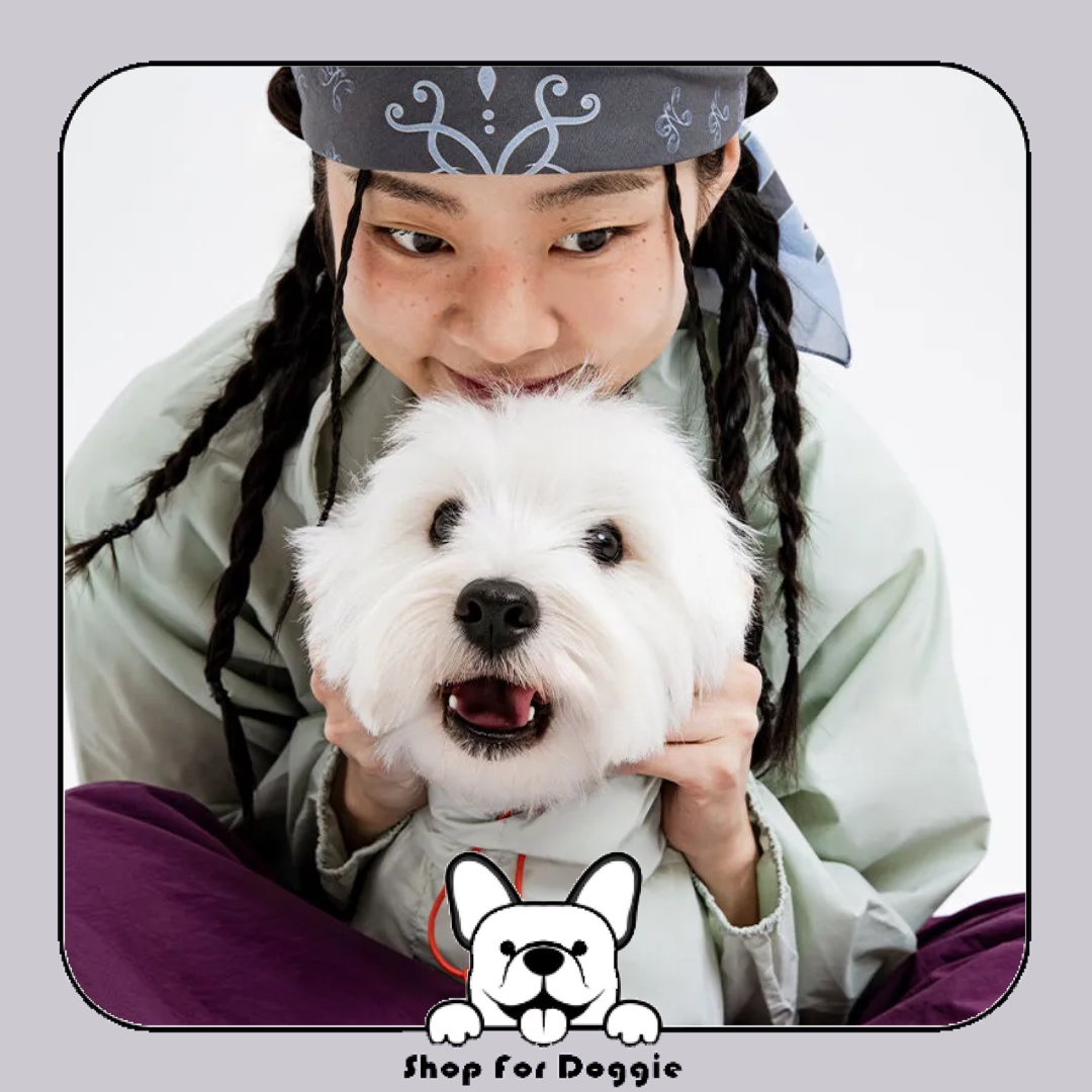 韓國 Latta Filmcover Windbreaker Jacket for people