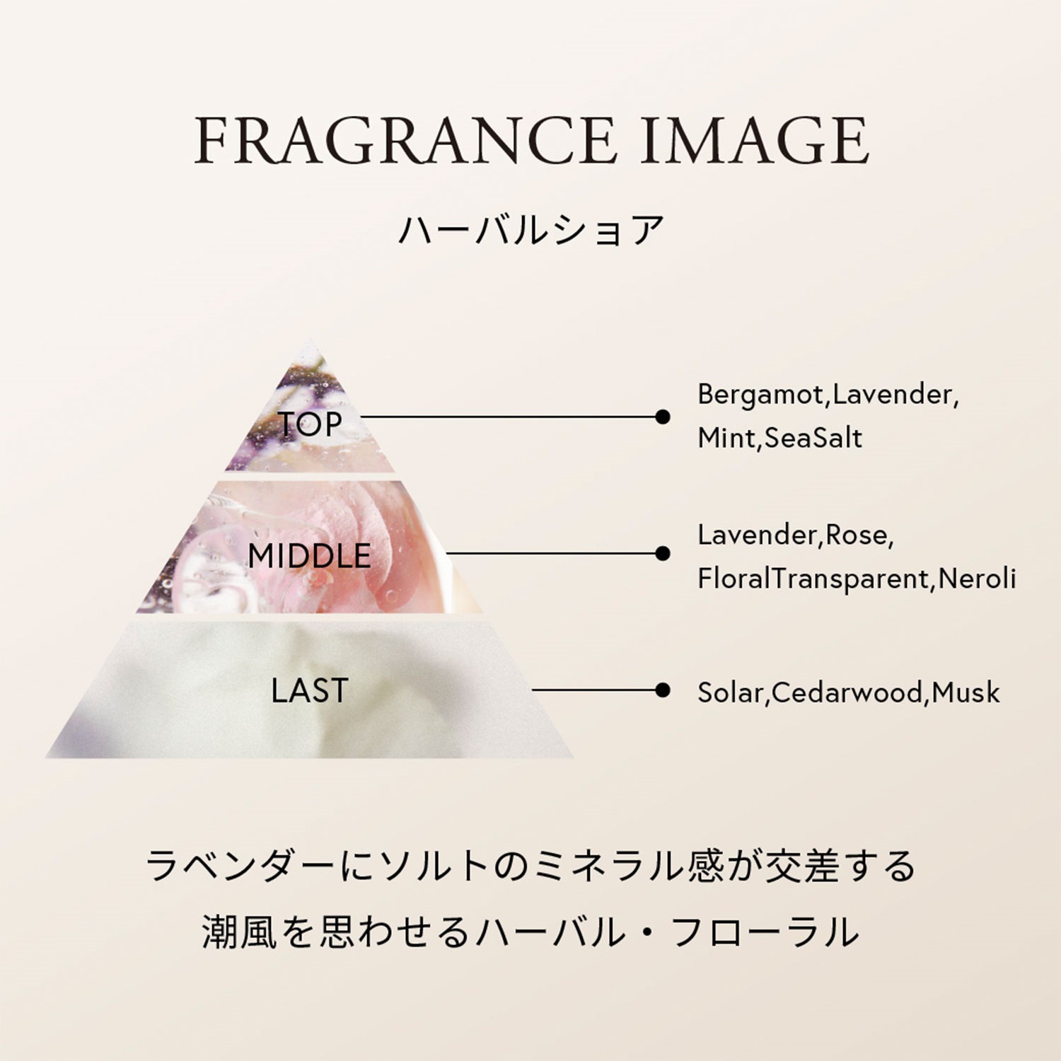 【限量新商品】【✨️日本🇯🇵 Celvoke Renewing Hair Mist 植萃煥活護髮噴霧✨️】50ml   