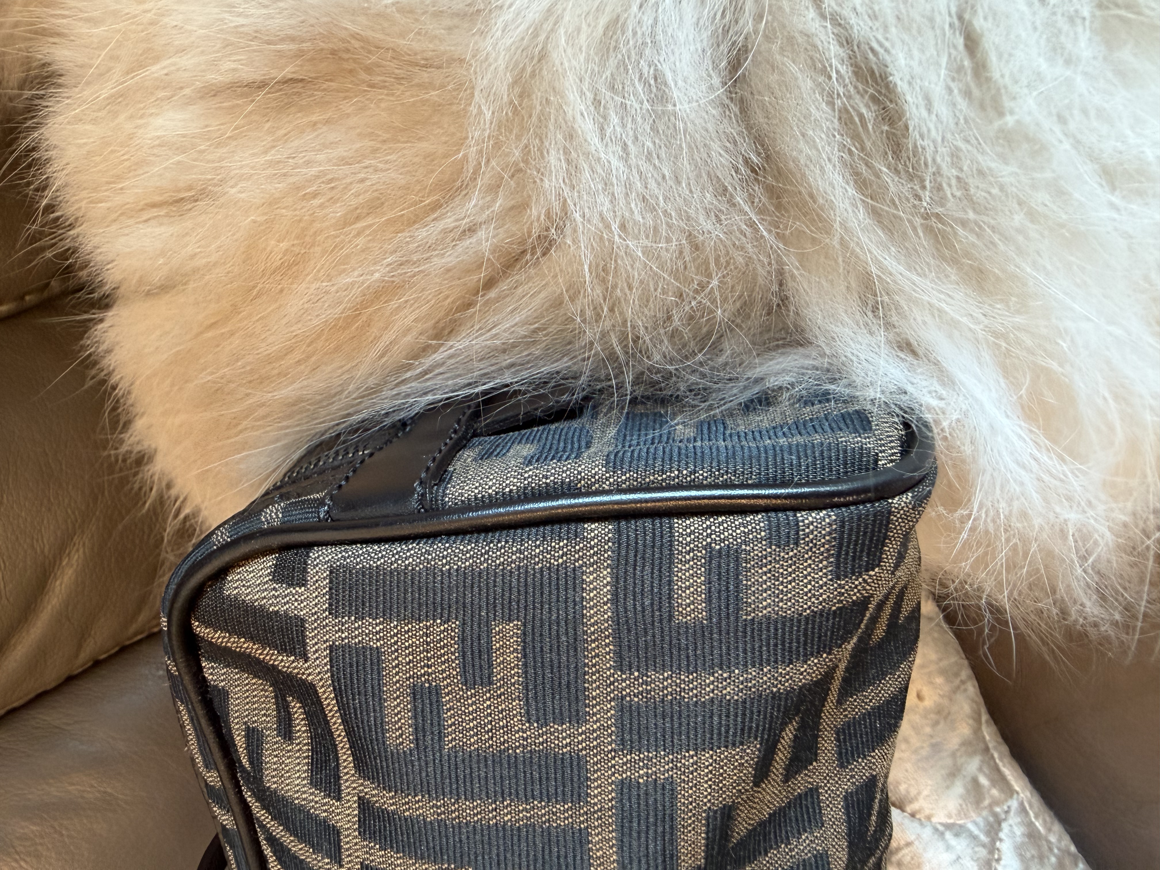 fendi  baguette bag /east west bag 