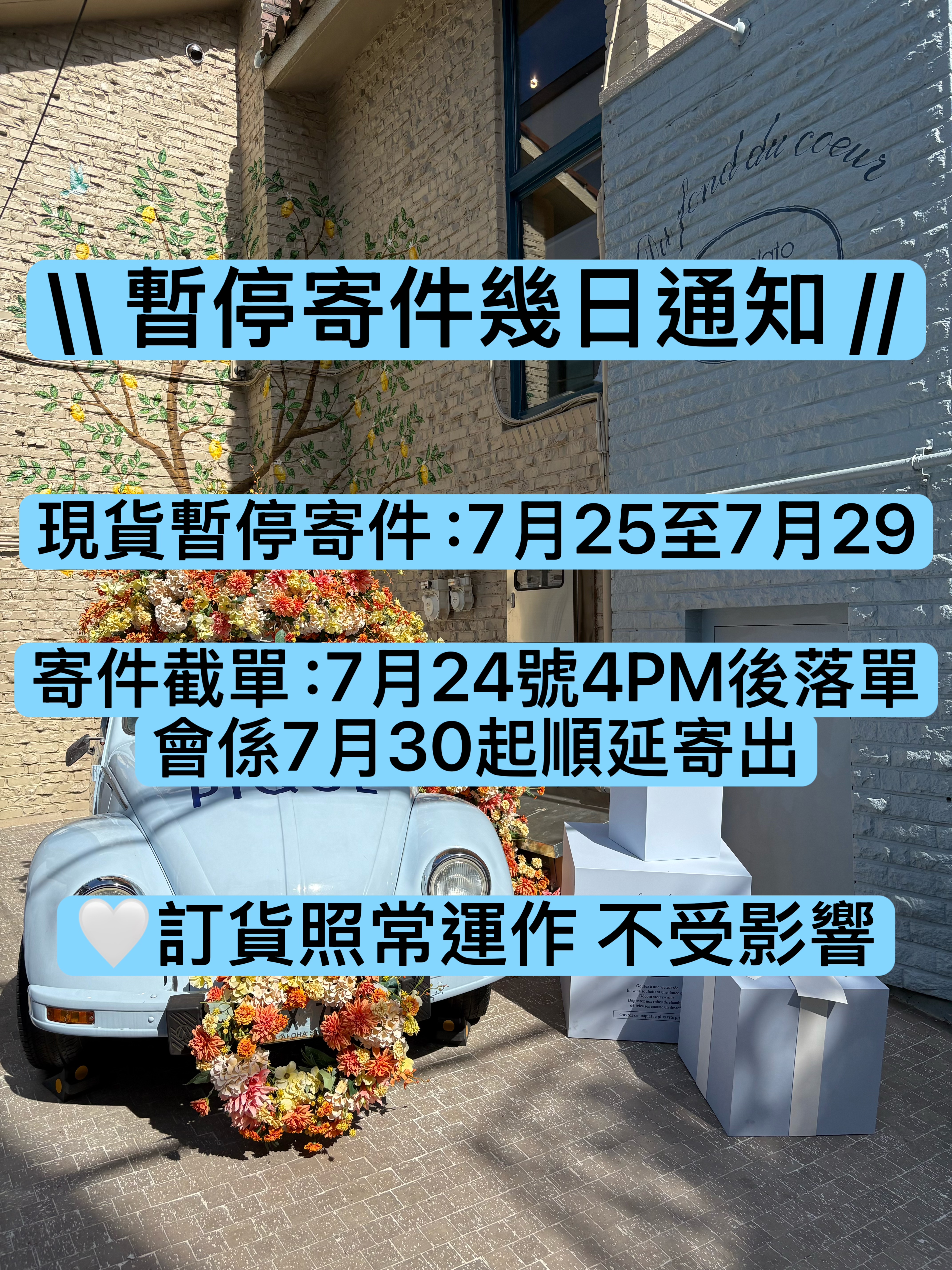 🩵現貨必看🩵