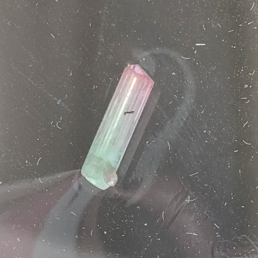 Bi-color tourmaline specimen from Afghanistan - TR48