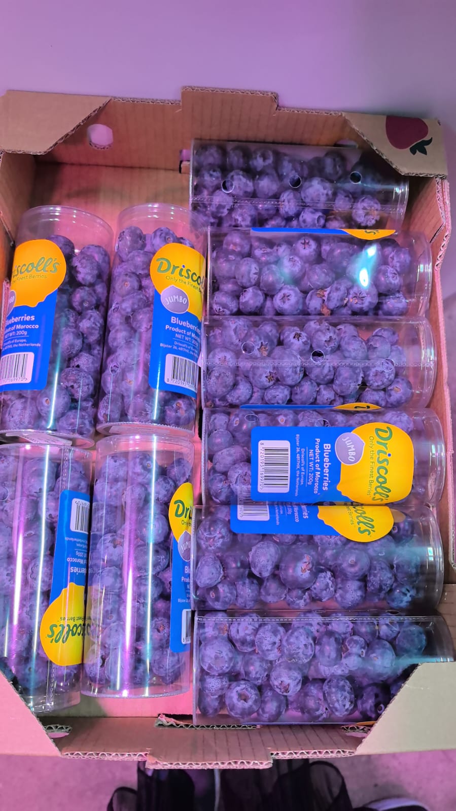 摩洛哥筒装珍寶蓝莓（200g)每份2筒