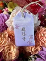 日本神社⛩️ 昆沙門堂 勝林寺