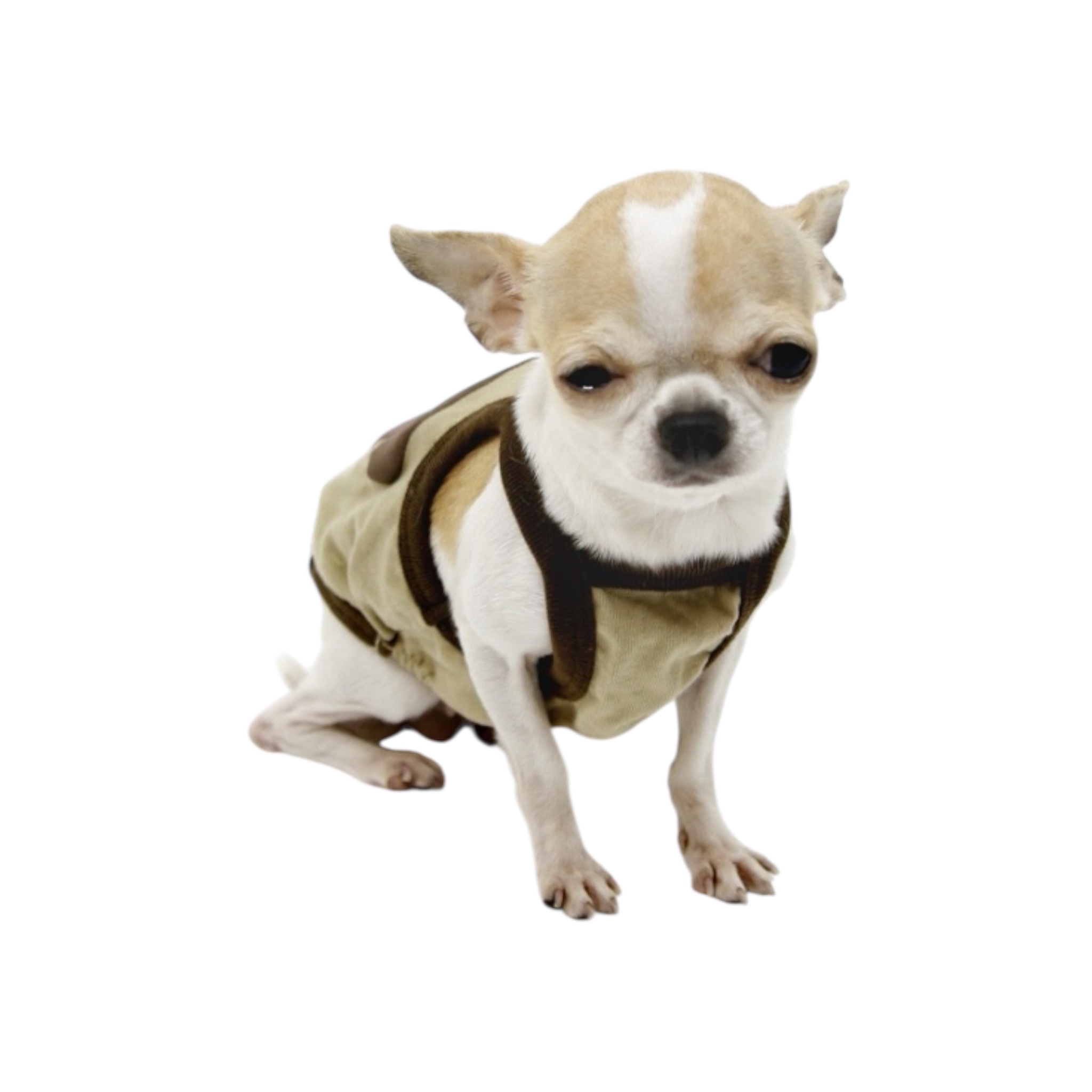 S452BE 蘑茹背心 mushroom vest